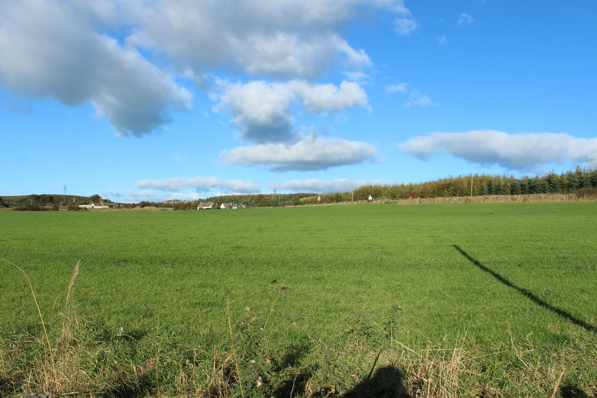 Photo showing: Farmland near Old Smithston