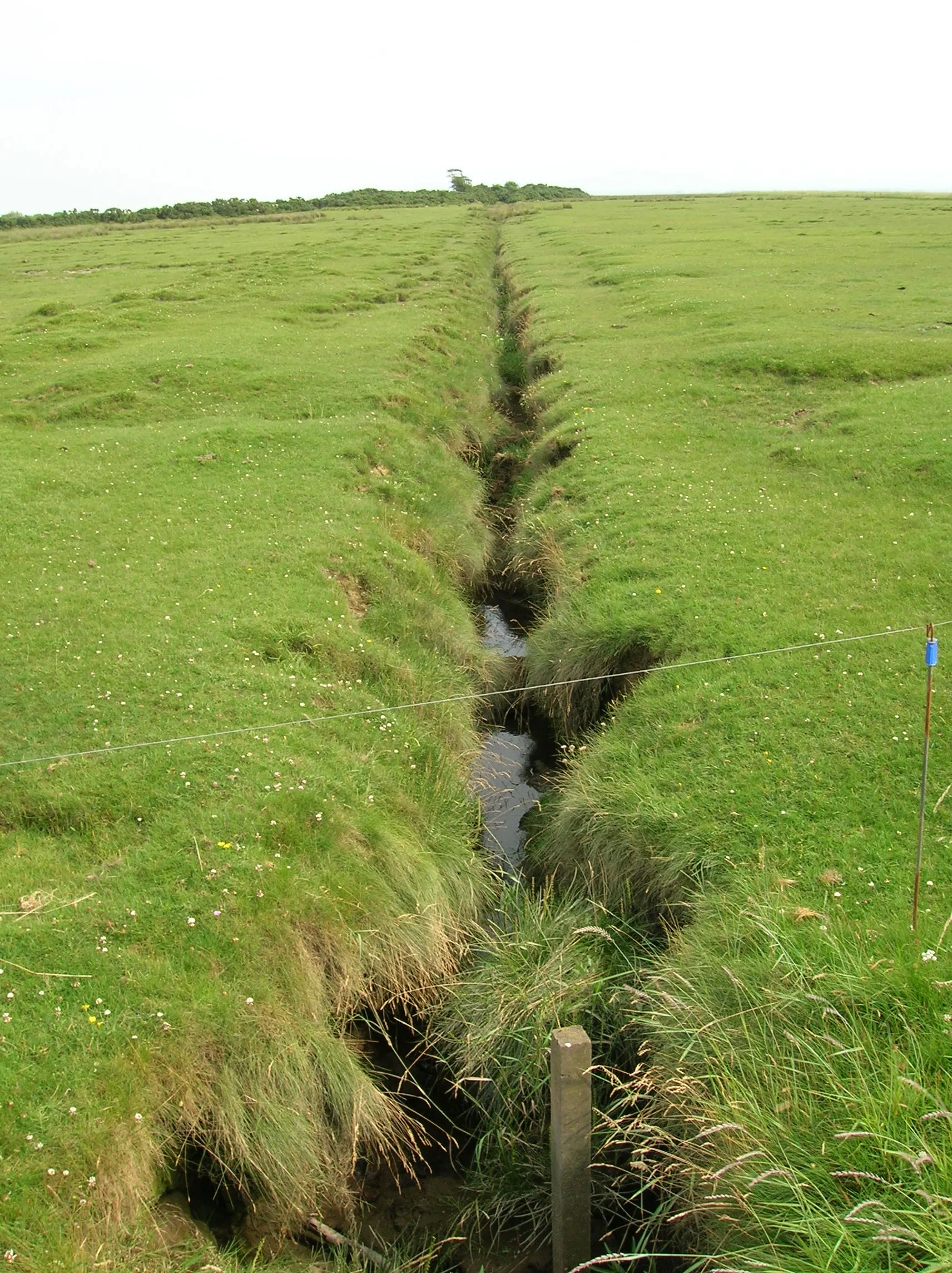 Photo showing: The Brow Merse and drain, Brow, Ruthwell, Dumfries & Galloway, Scotland.