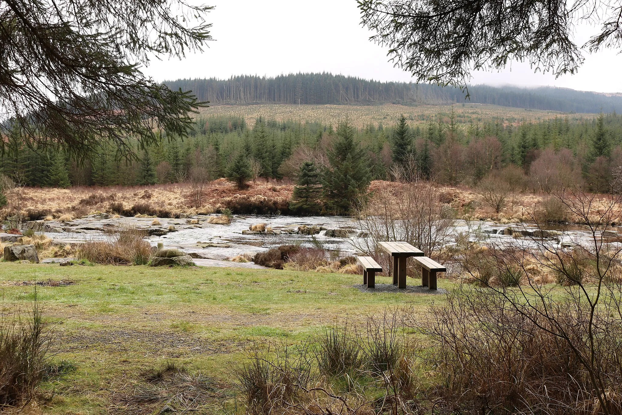 Photo showing: Picnic Area at The Otter Pool