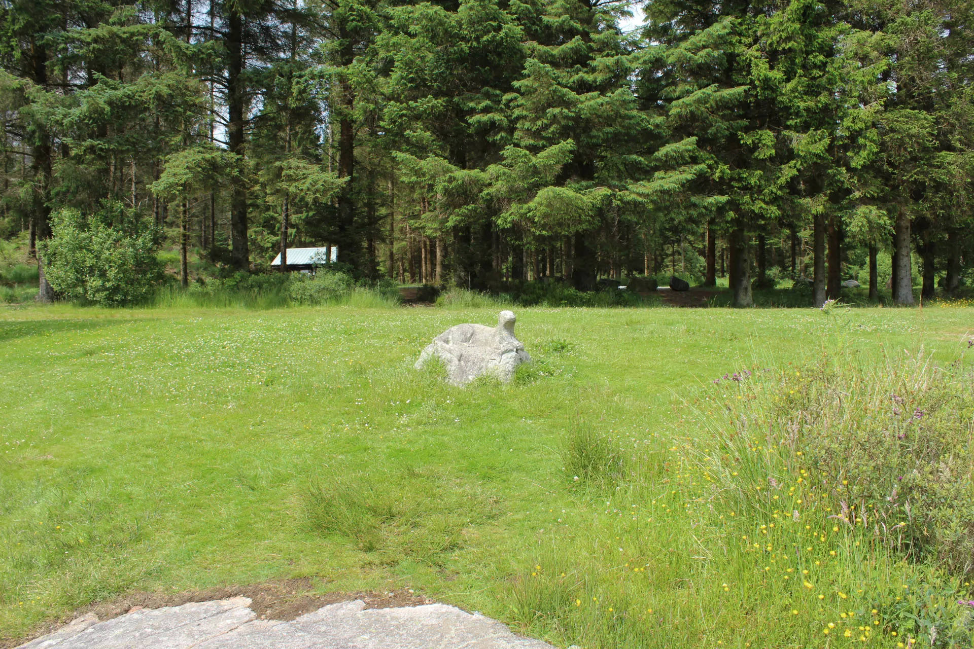 Photo showing: Stone Otter