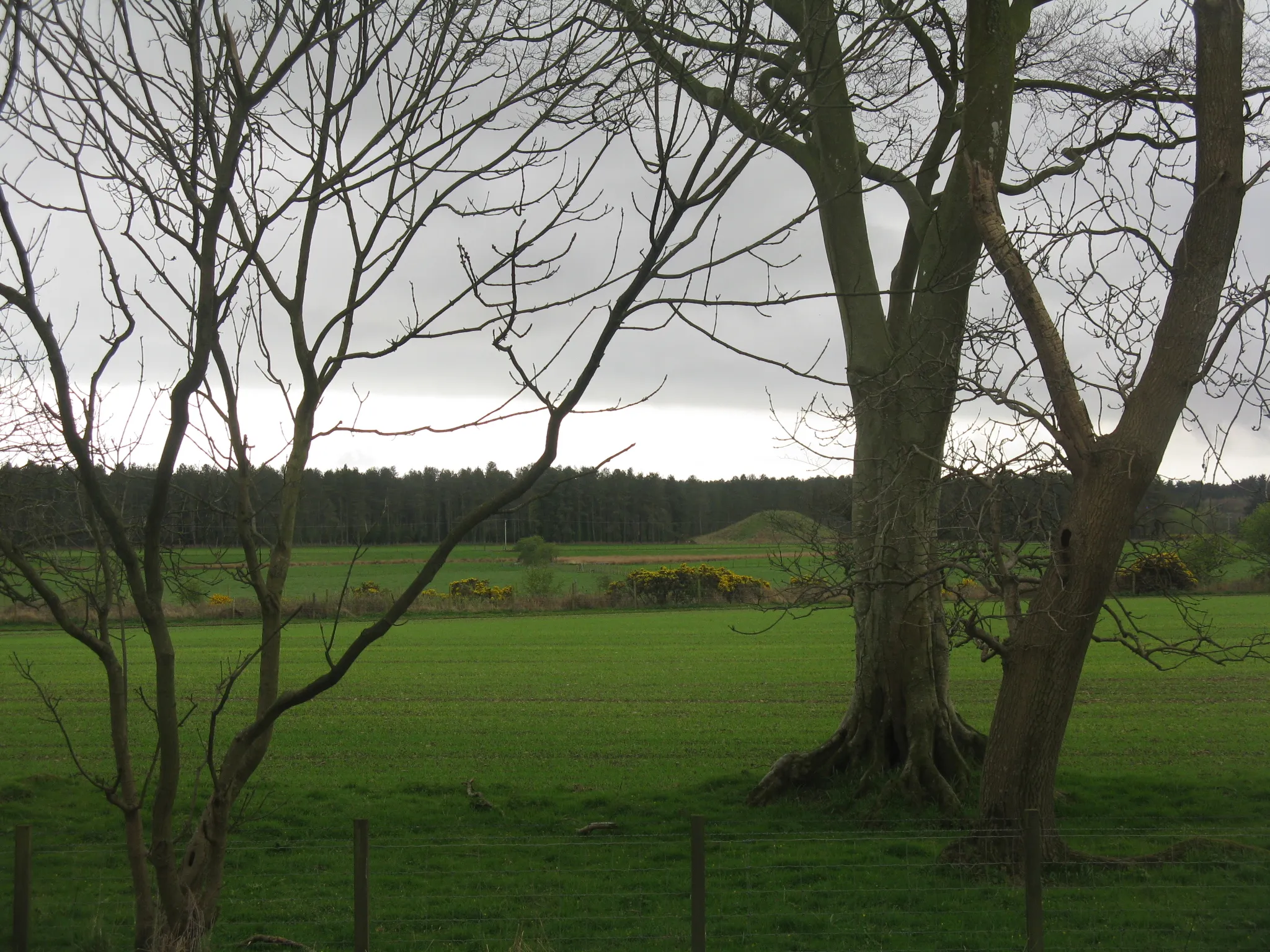 Photo showing: Looking south from Dunragit from the eastbound bus stop on the A75, across the fields towards Droughdool Motte.