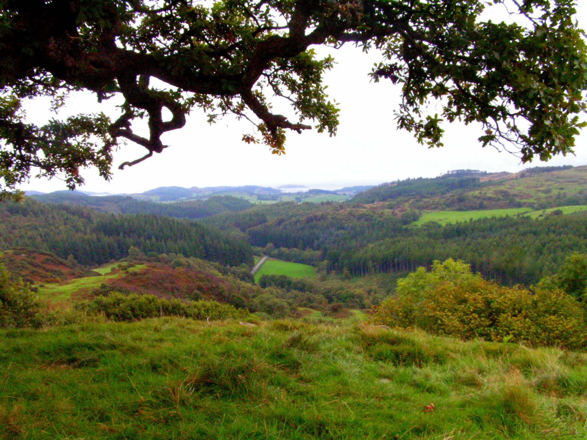 Photo showing: Looking South from Torglass Hill