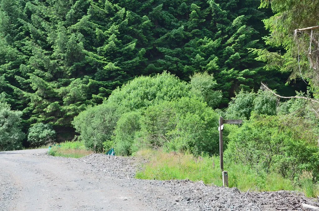 Photo showing: Signpost for Gamescleuch Burn path