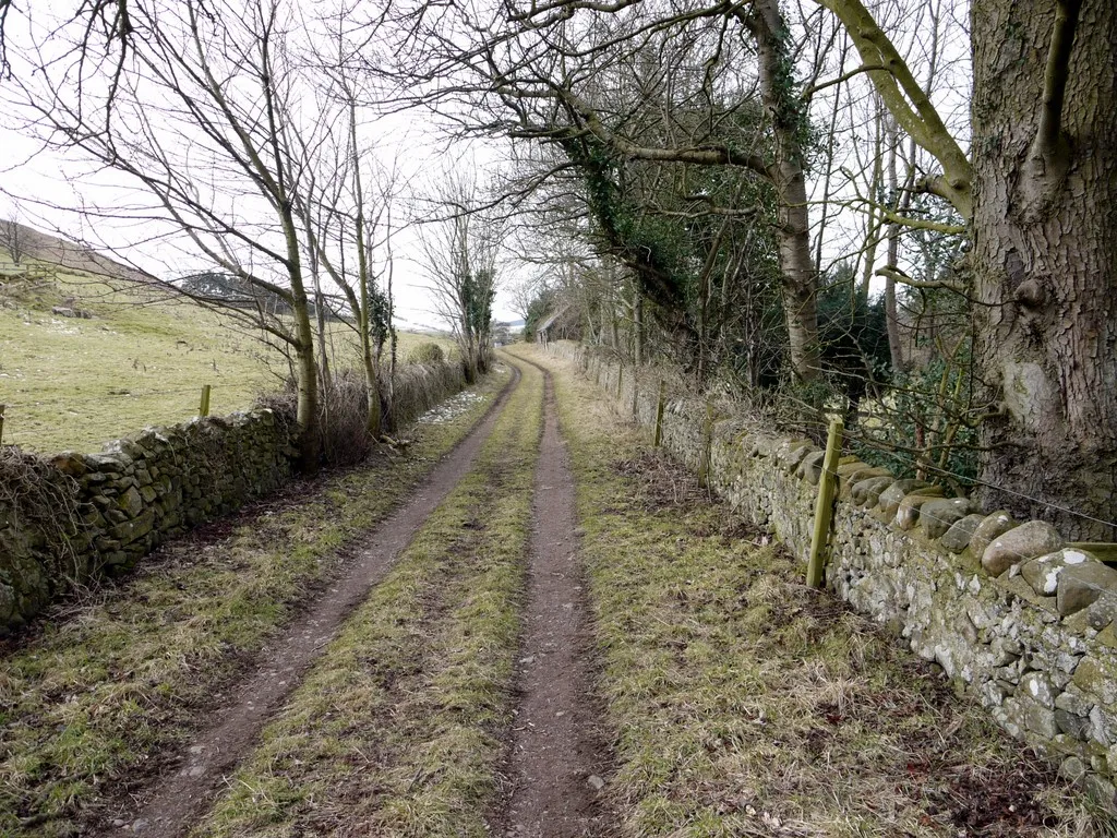 Photo showing: Track south of Kirknewton