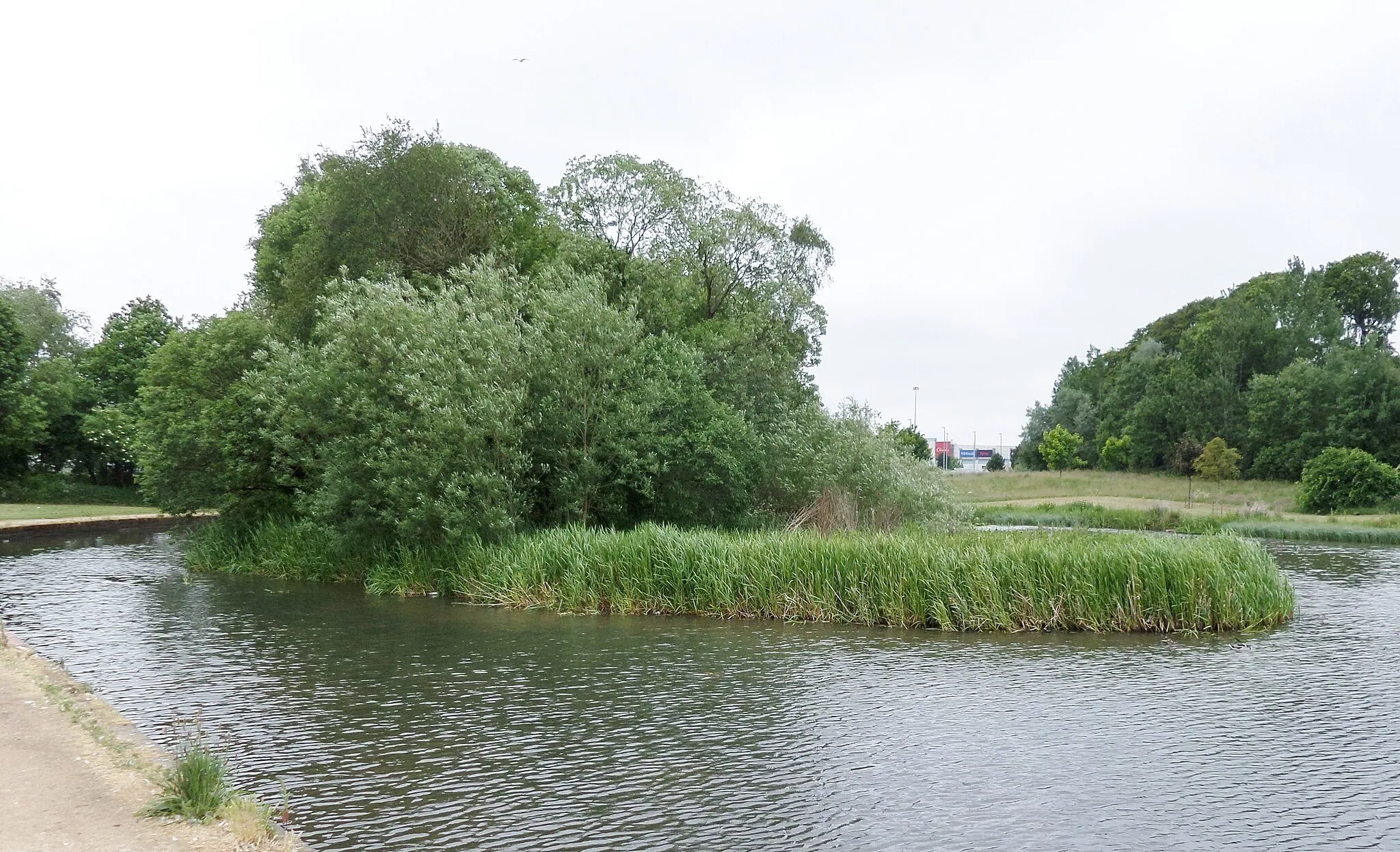 Photo showing: Auchinlea Pond Island, Auchinlea Park, Glasgow