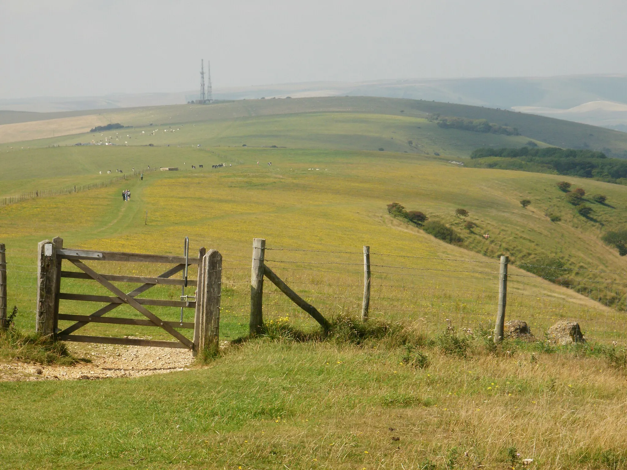 Photo showing: Beddingham Hill from near to Firle Beacon