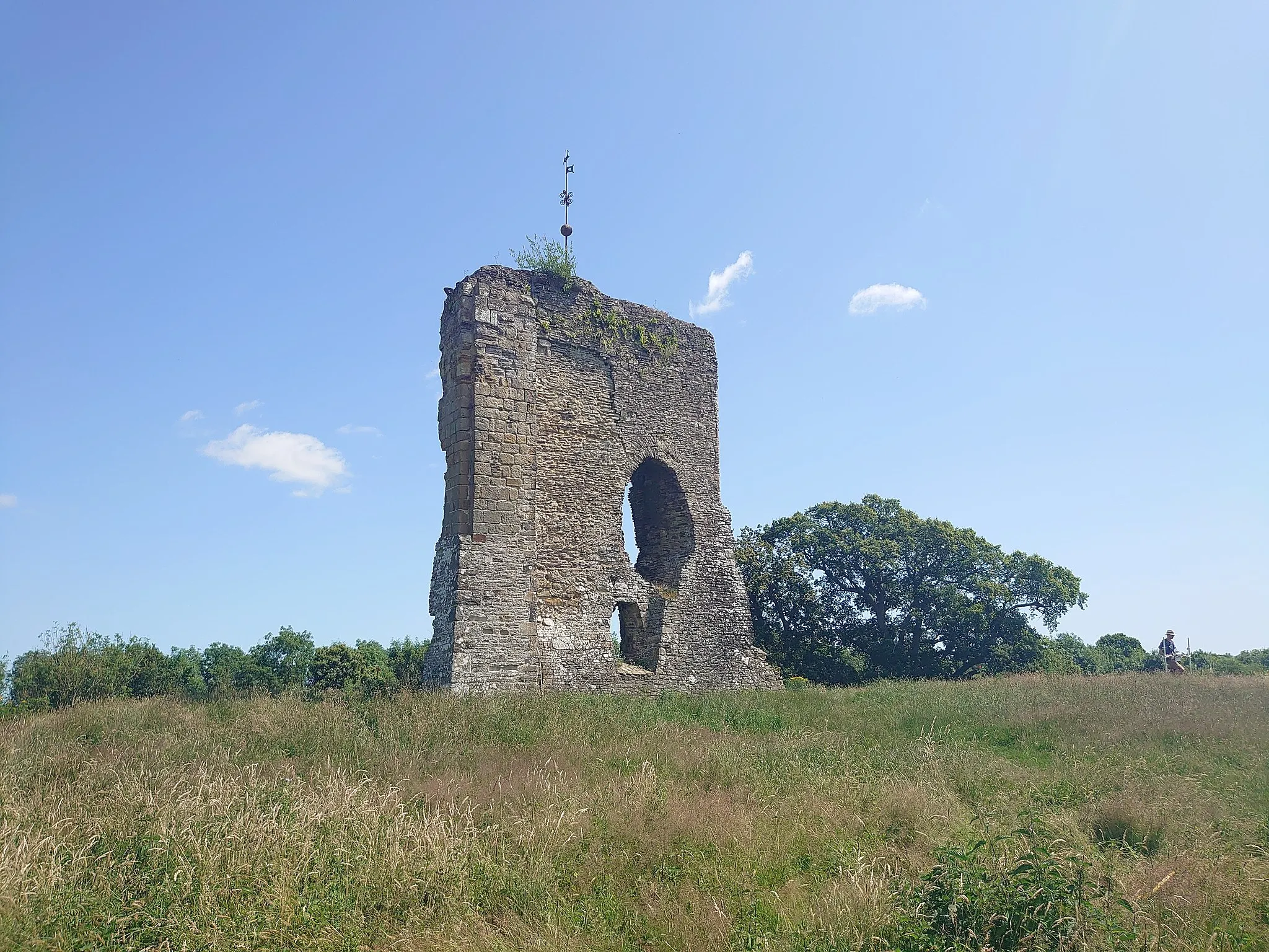 Photo showing: Knepp Castle