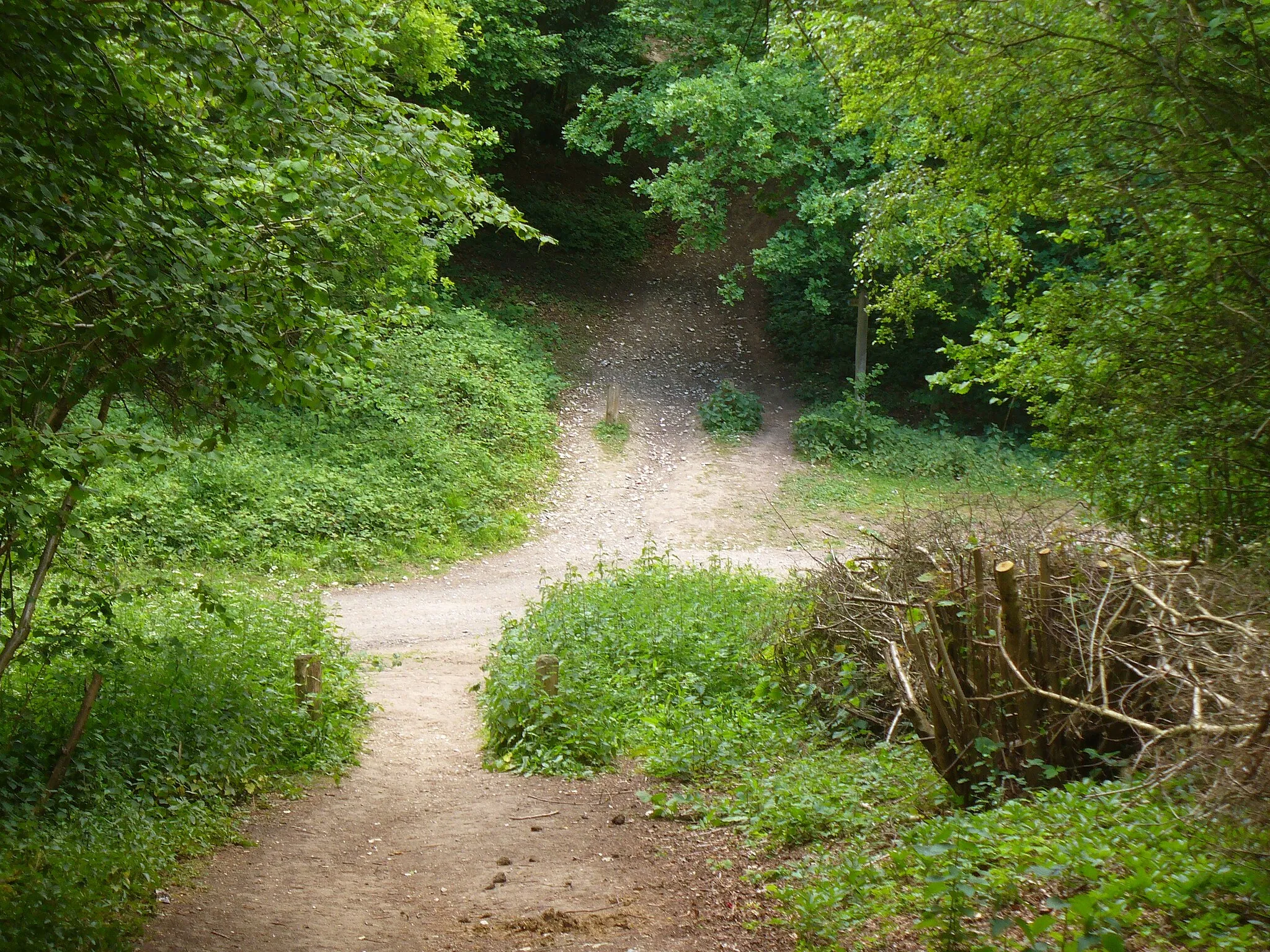 Photo showing: Bridleway Junction on Fetcham Downs