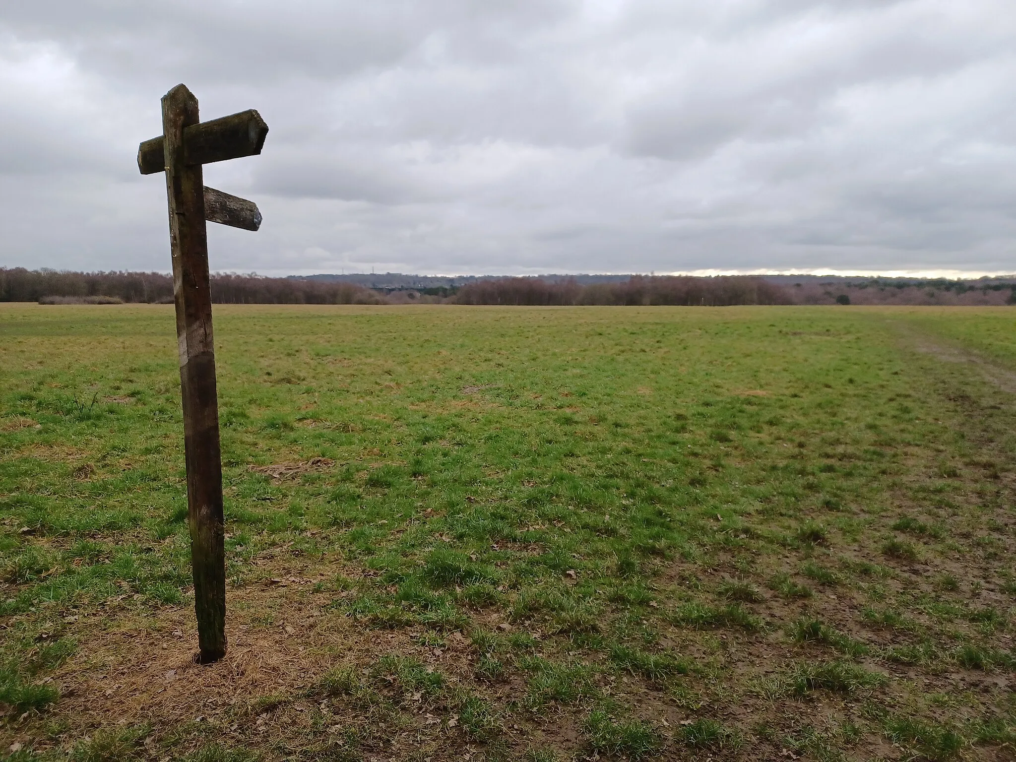 Photo showing: Public footpath sign on Banstead Heath, just east of Tadworth Mill. View looking southeast towards the ridge of the North Downs, with the masts on Reigate Hill on the horizon. Tadworth, Surrey, England.