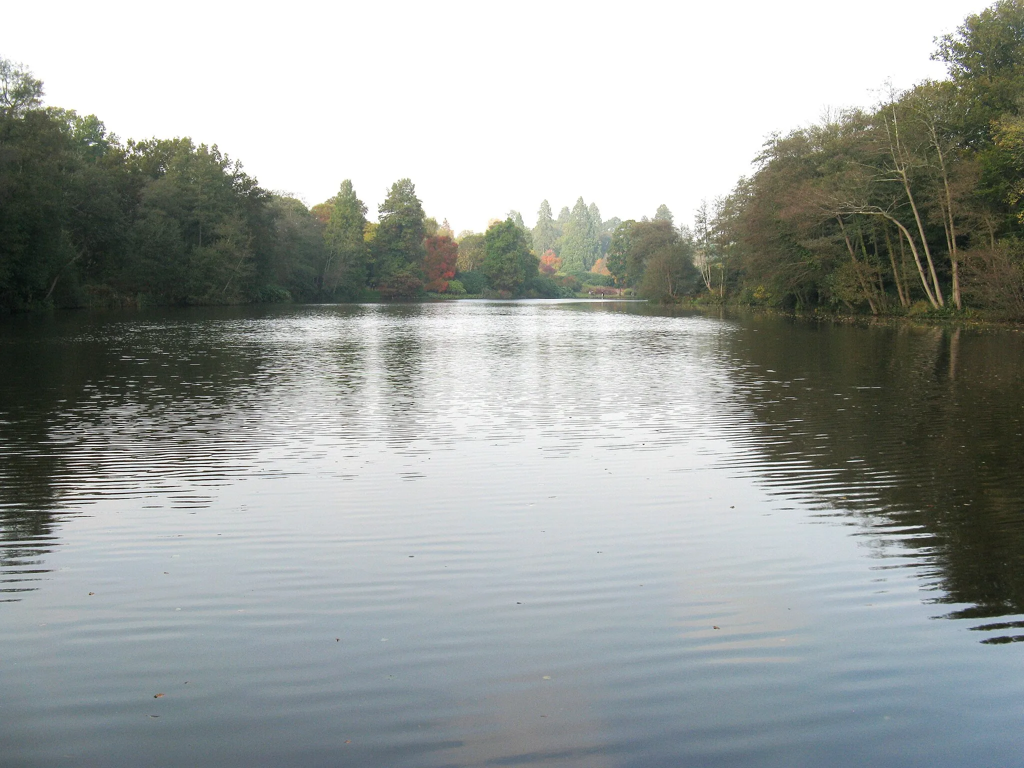 Photo showing: Lower Womans Way Pond at Sheffield Park