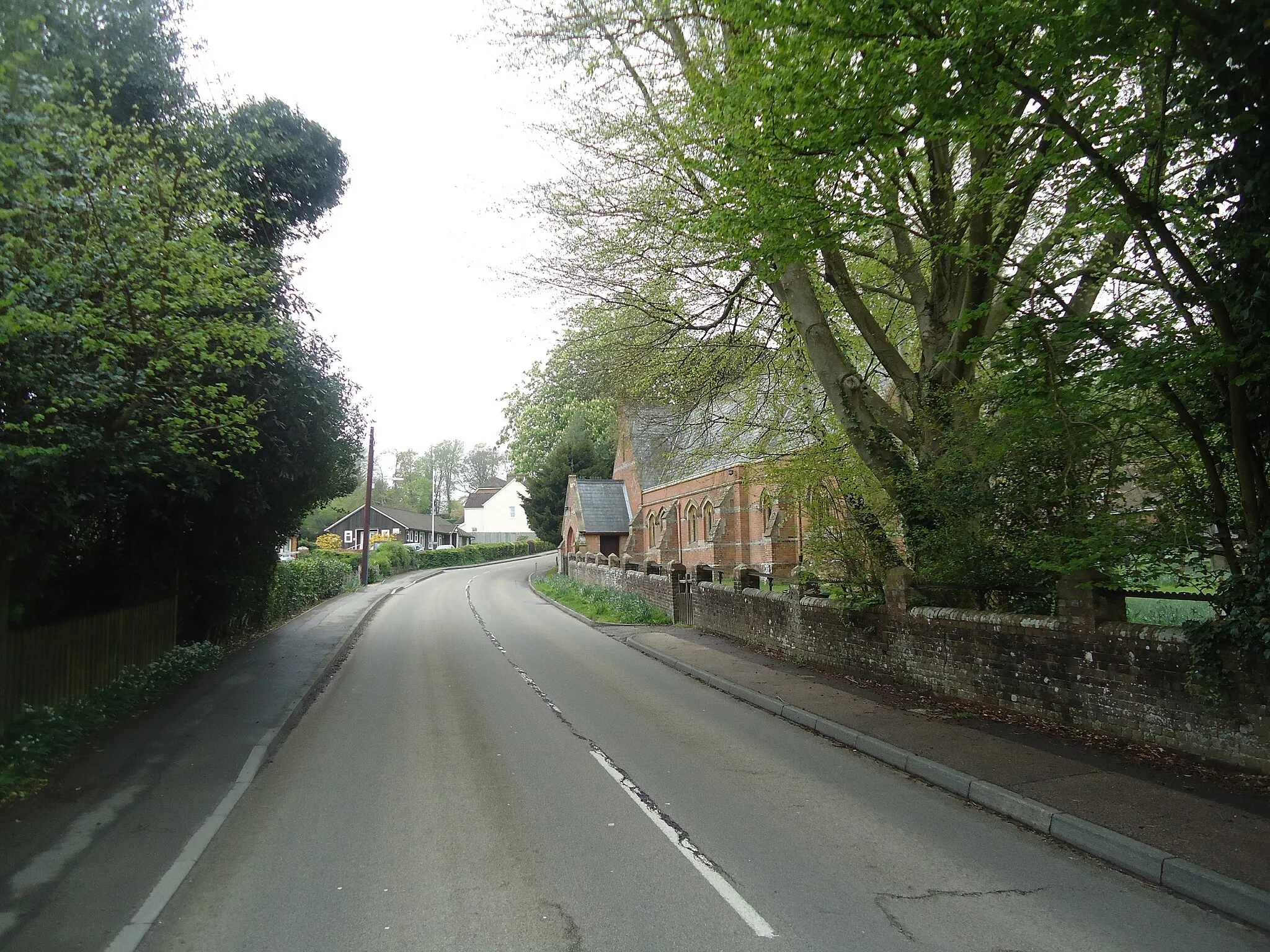 Photo showing: Forest Road, Colgate