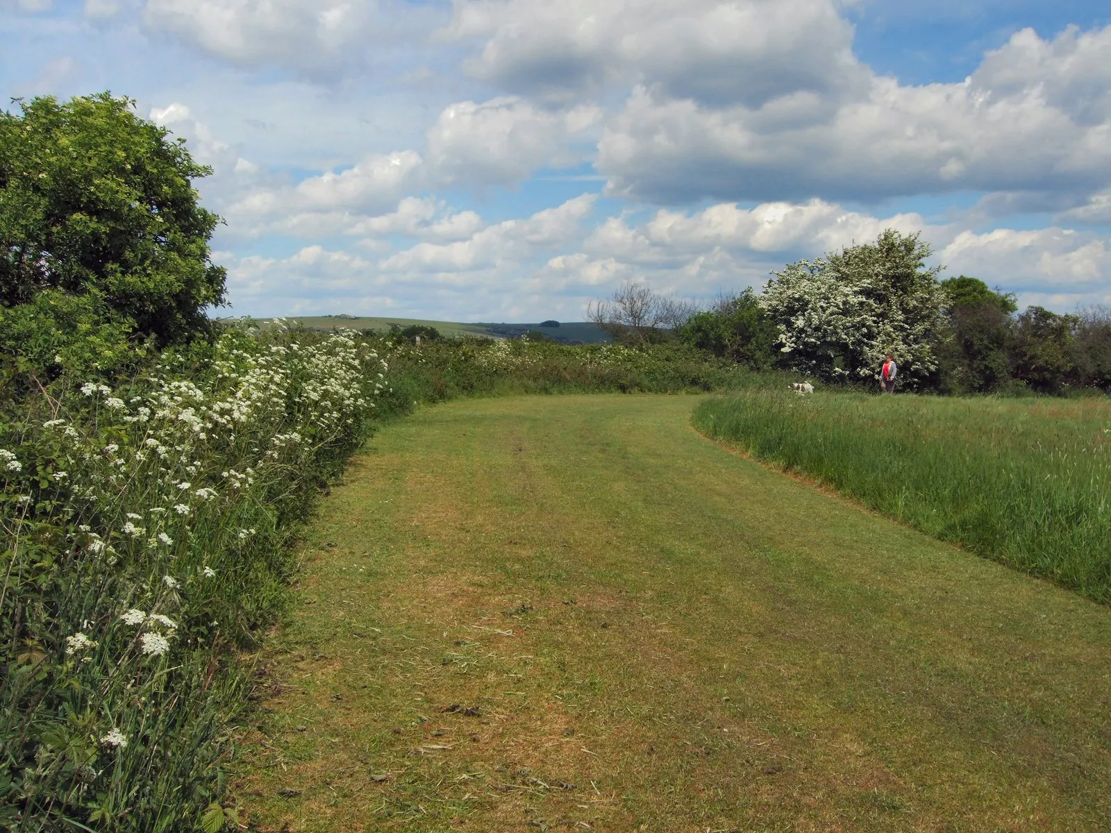 Photo showing: Green Ridge