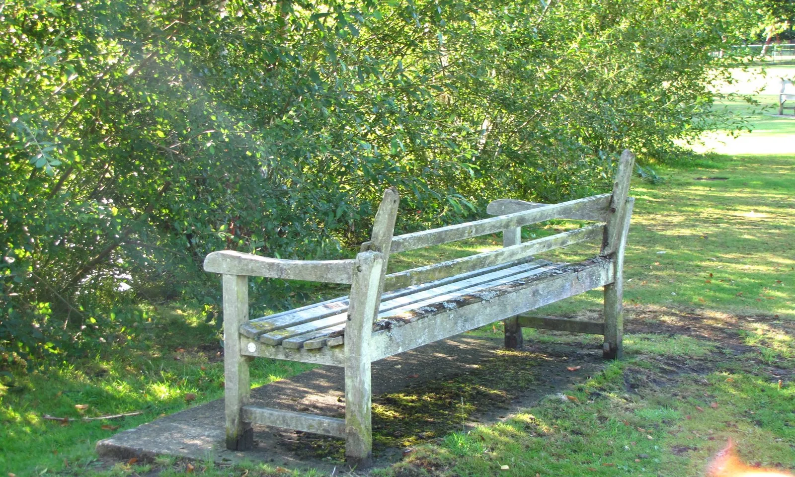 Photo showing: A bench with a view?