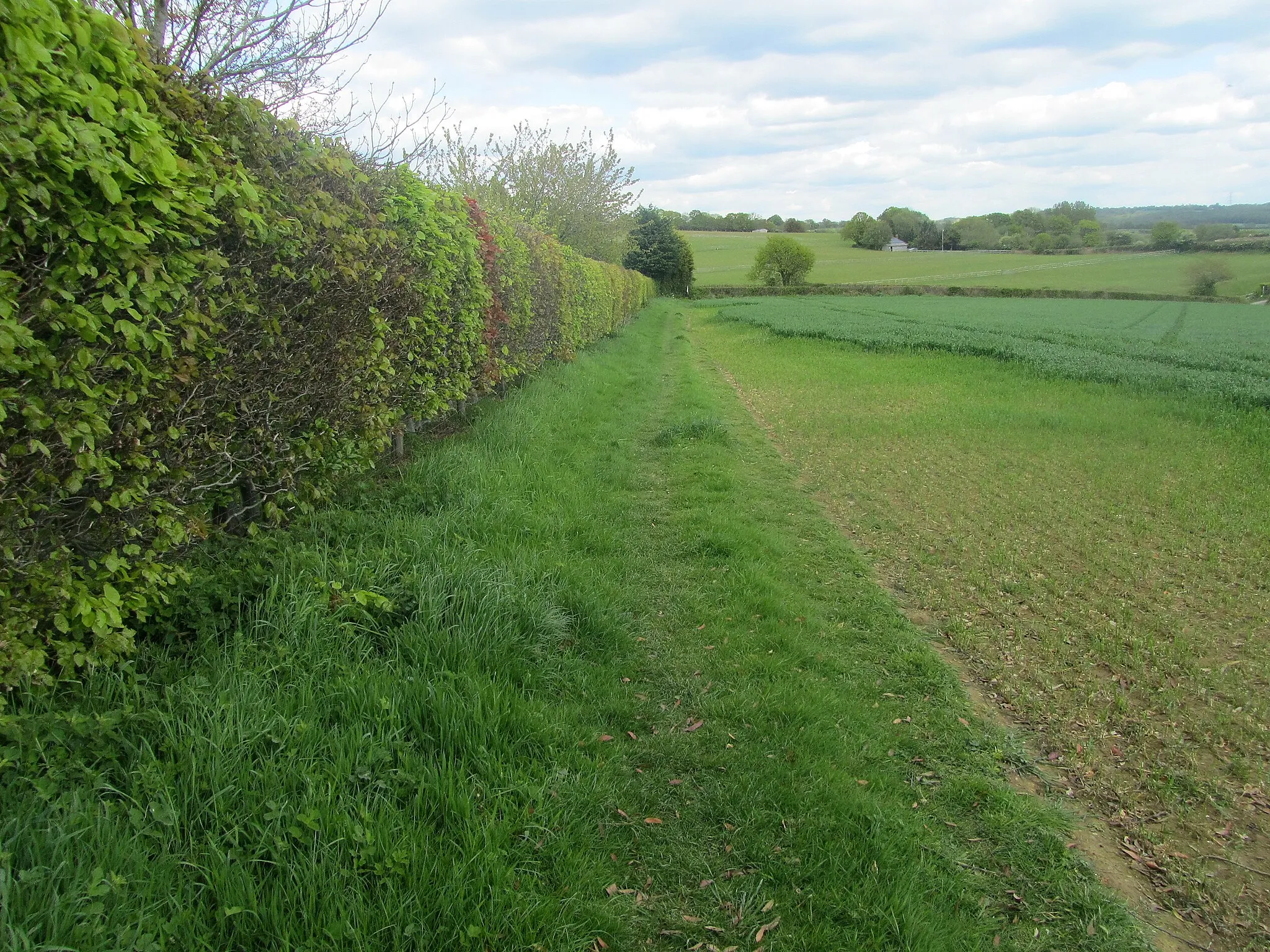 Photo showing: 1066 Country Walk beside Wartling Wood