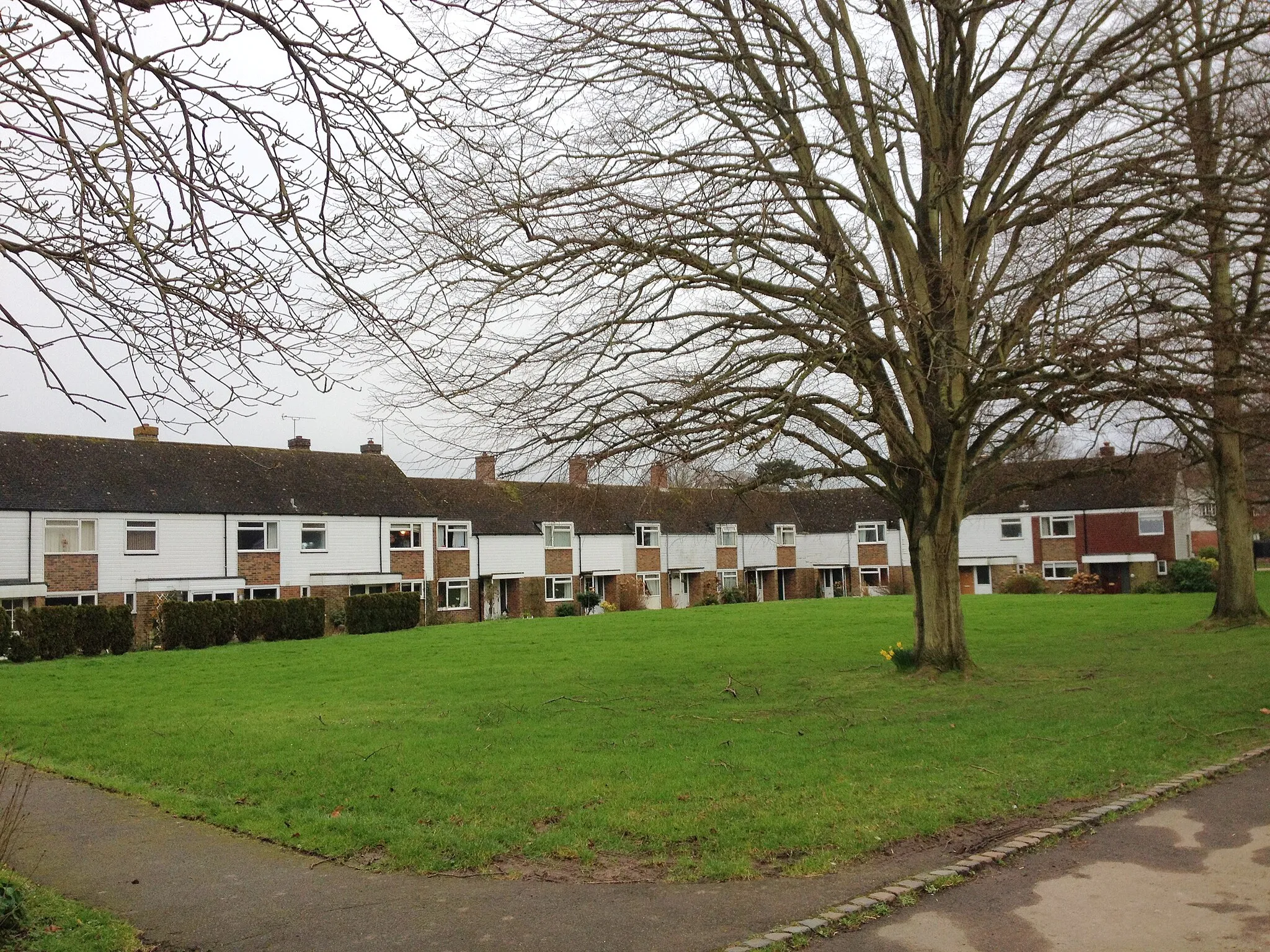 Photo showing: The Green, Ewhurst Green