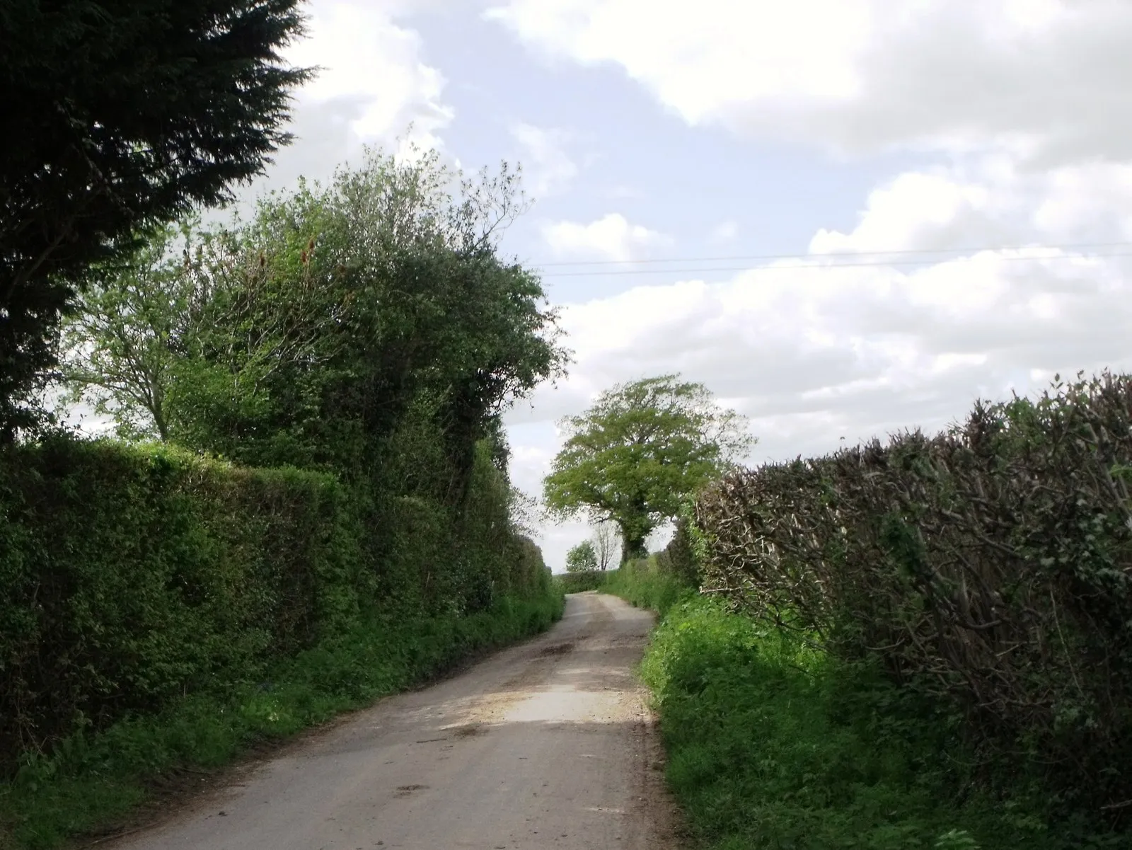 Photo showing: Access road to Claverham Manor, East Sussex