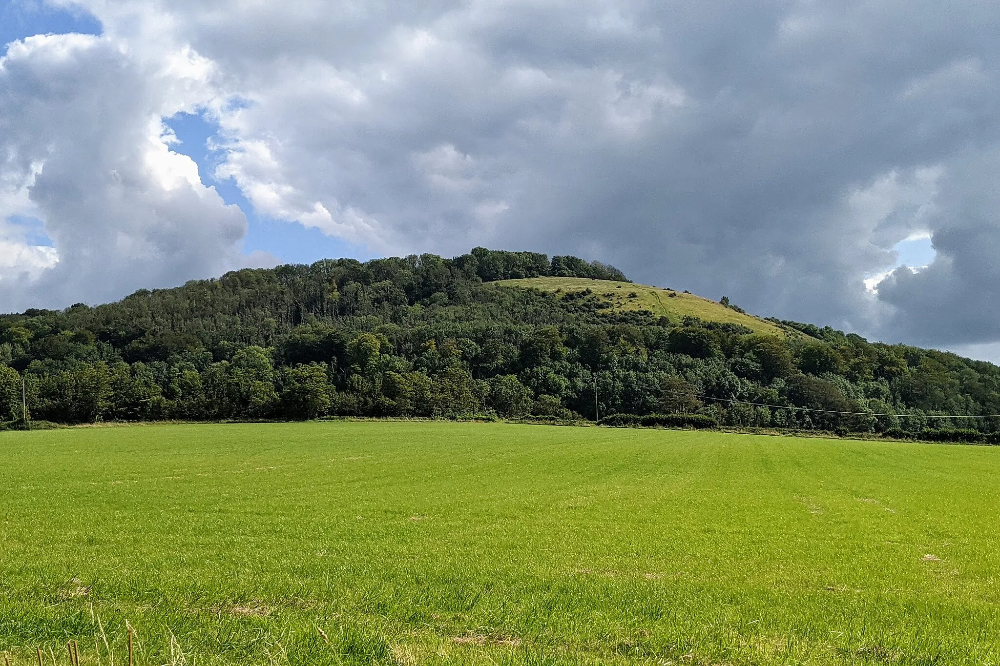 Photo showing: Newtimber Hill, view from the Newtimber Wood on the north side, near Newtimber Place