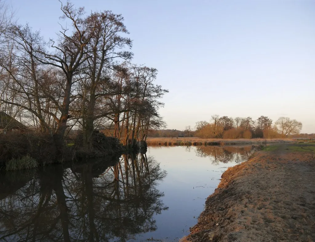 Photo showing: Alders at the tip of Mid Island