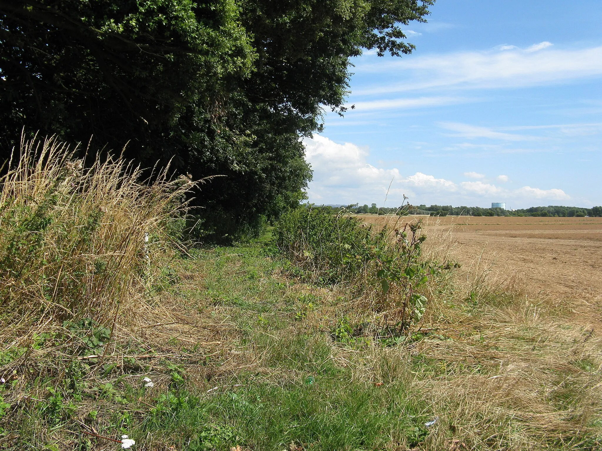 Photo showing: Footpath 168 from Climping to the west bank of the River Arun