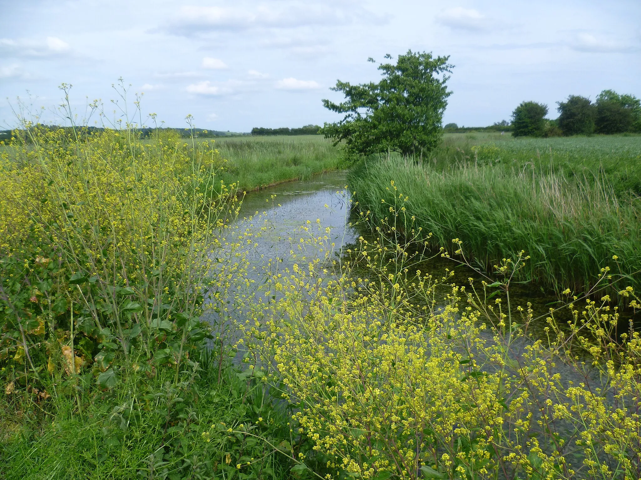 Photo showing: A bend in the Reading Sewer