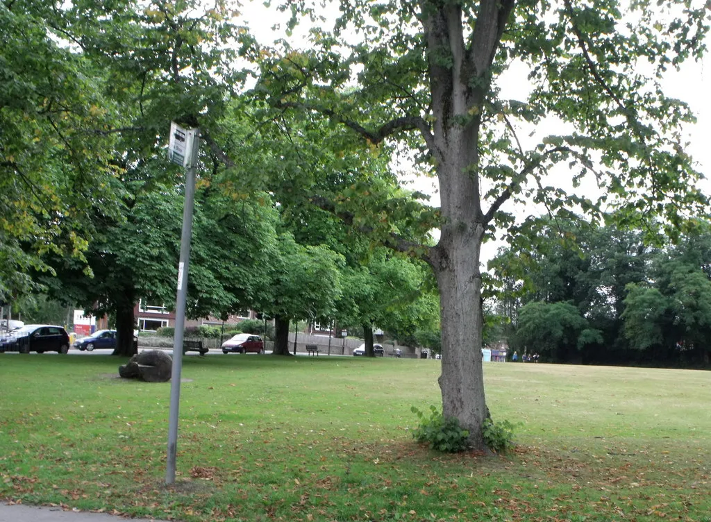 Photo showing: Bus stop at Shottermill, Surrey