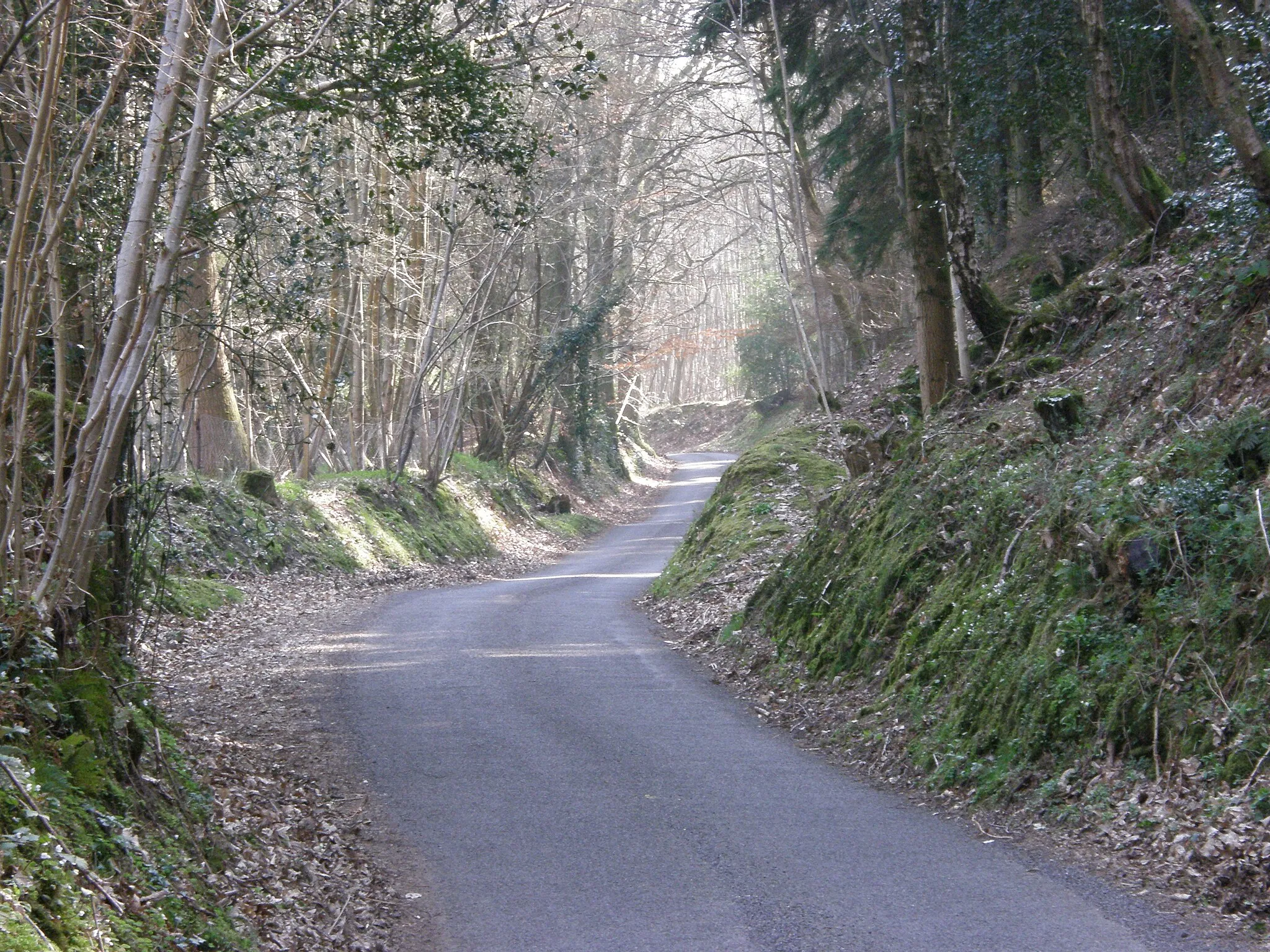 Photo showing: A quiet lane winds up a hillside This is a continuation of Cook's Pond Road, which runs from near Milland to meet Hammer Lane, near Chithurst.