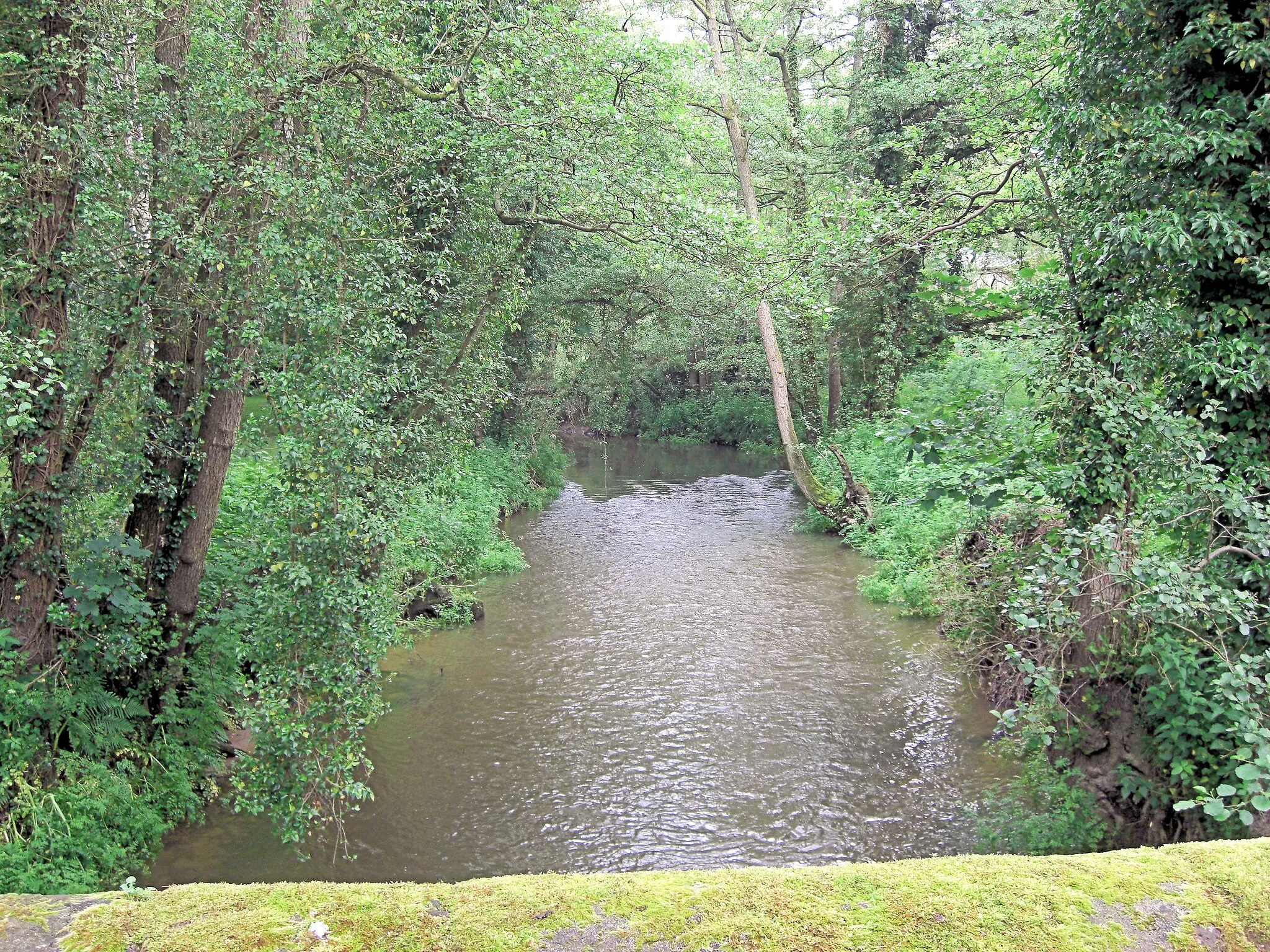 Photo showing: River Rother at Chithurst