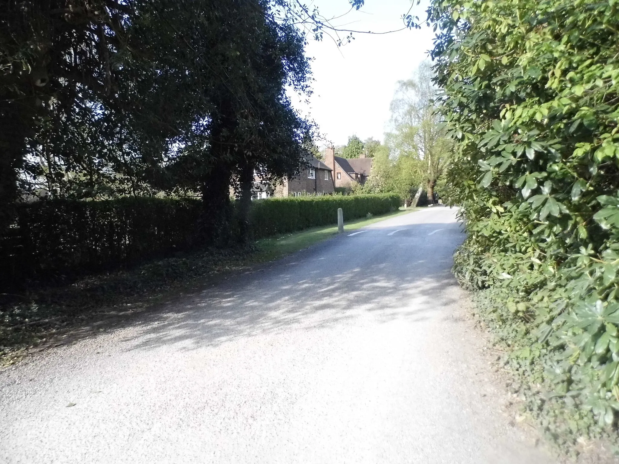 Photo showing: Mile Path, Hook Heath