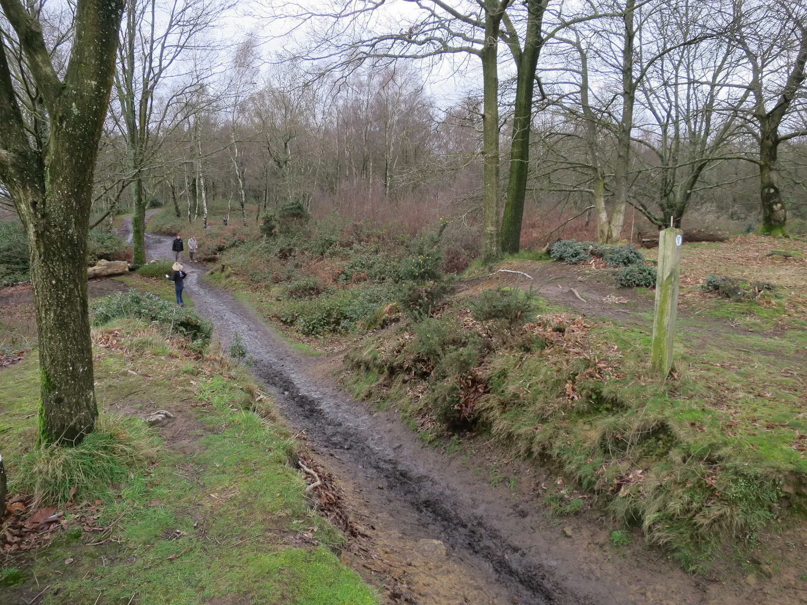 Photo showing: Path through the ramparts