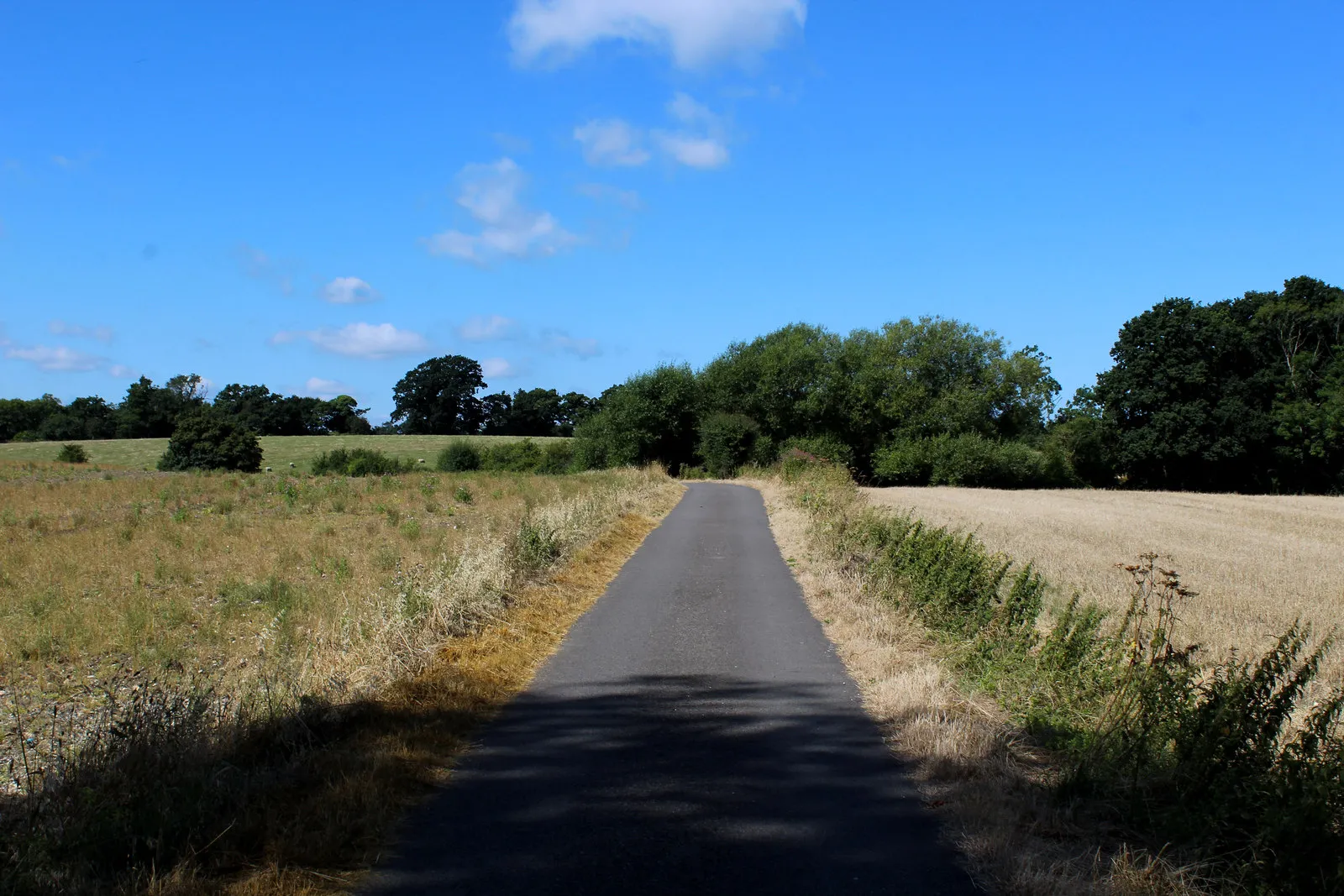 Photo showing: Access Lane from Boldrewood Farm