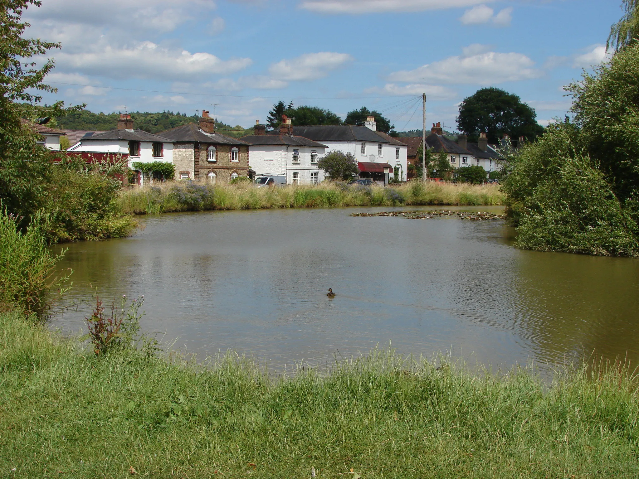 Photo showing: The village pond, Shalford