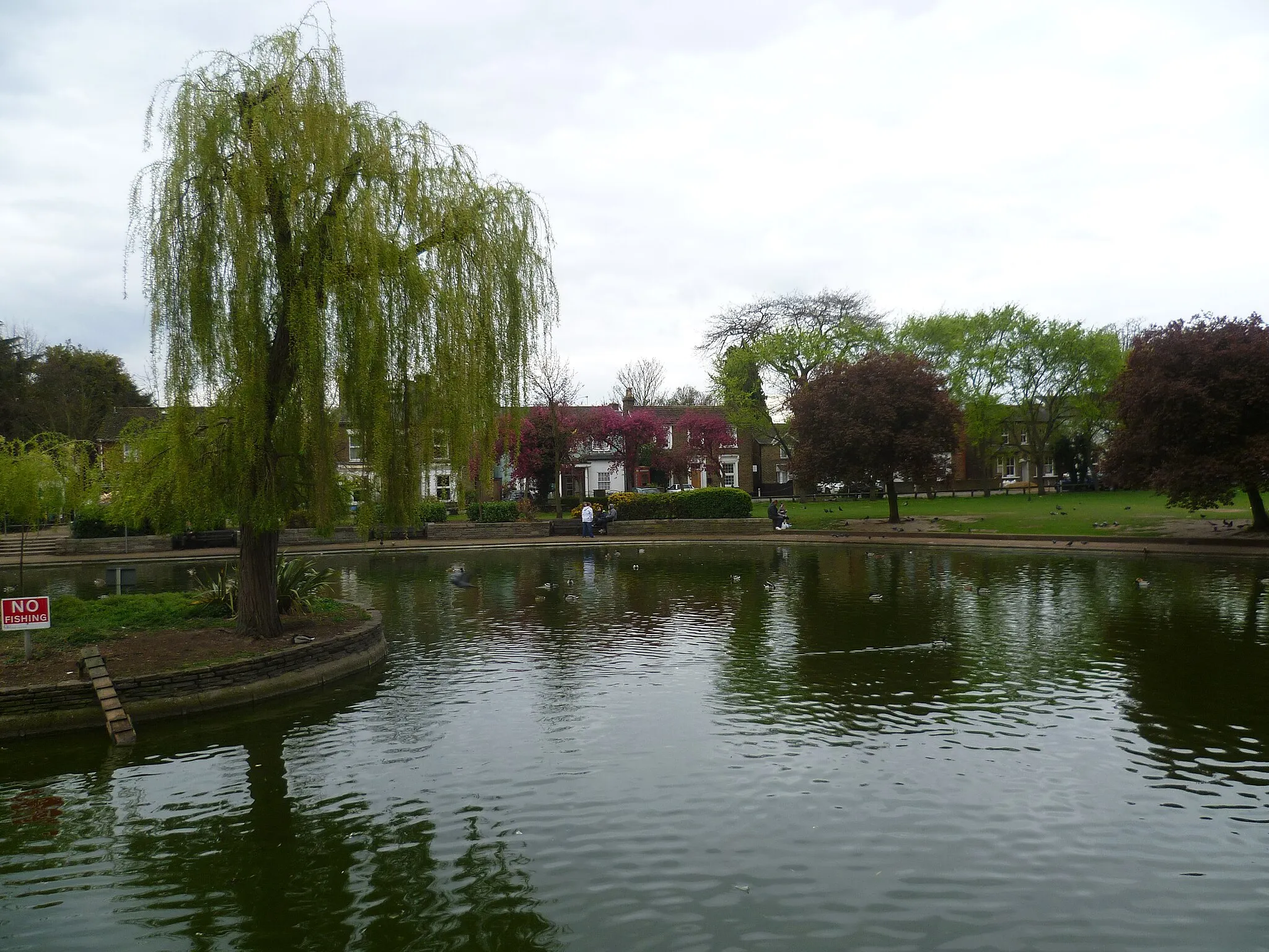 Photo showing: Feltham Green pond