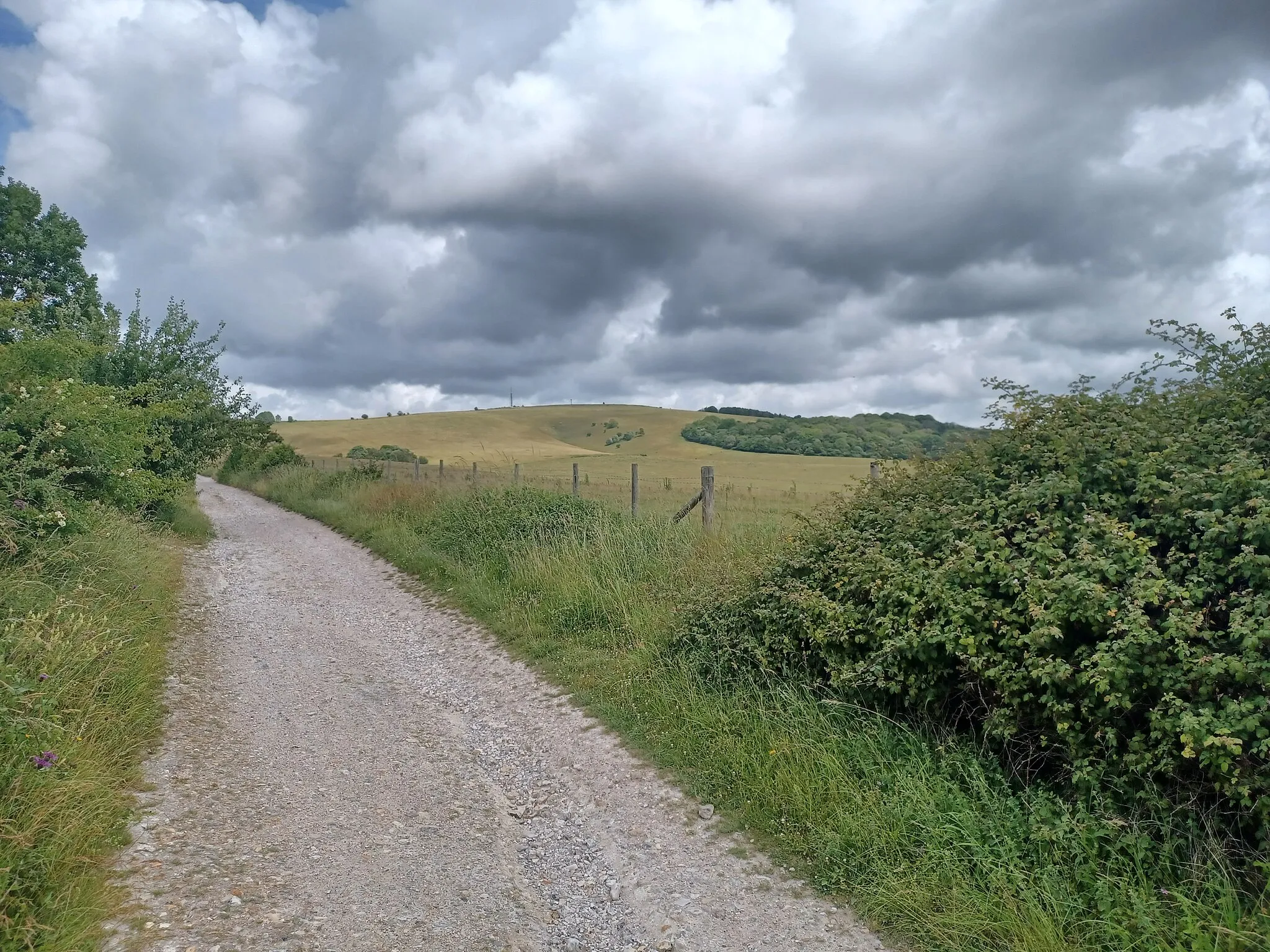 Photo showing: Chalkpit Lane, which climbs the ridge from East Lavant to St. Roche's Hill and the western base of the Trundle hillfort, and running between Lavant Down and Haye's Down. East Lavant, West Sussex, England. Looking northeast over Lavant Down towards the Trundle.