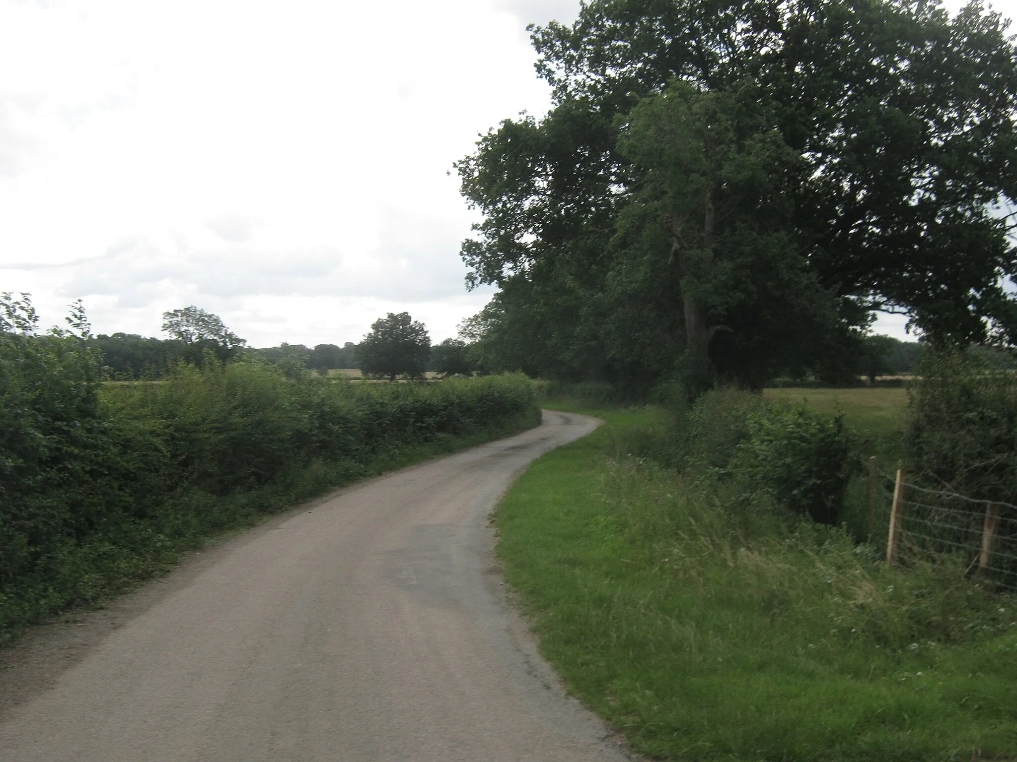 Photo showing: Access lane towards Park Farm