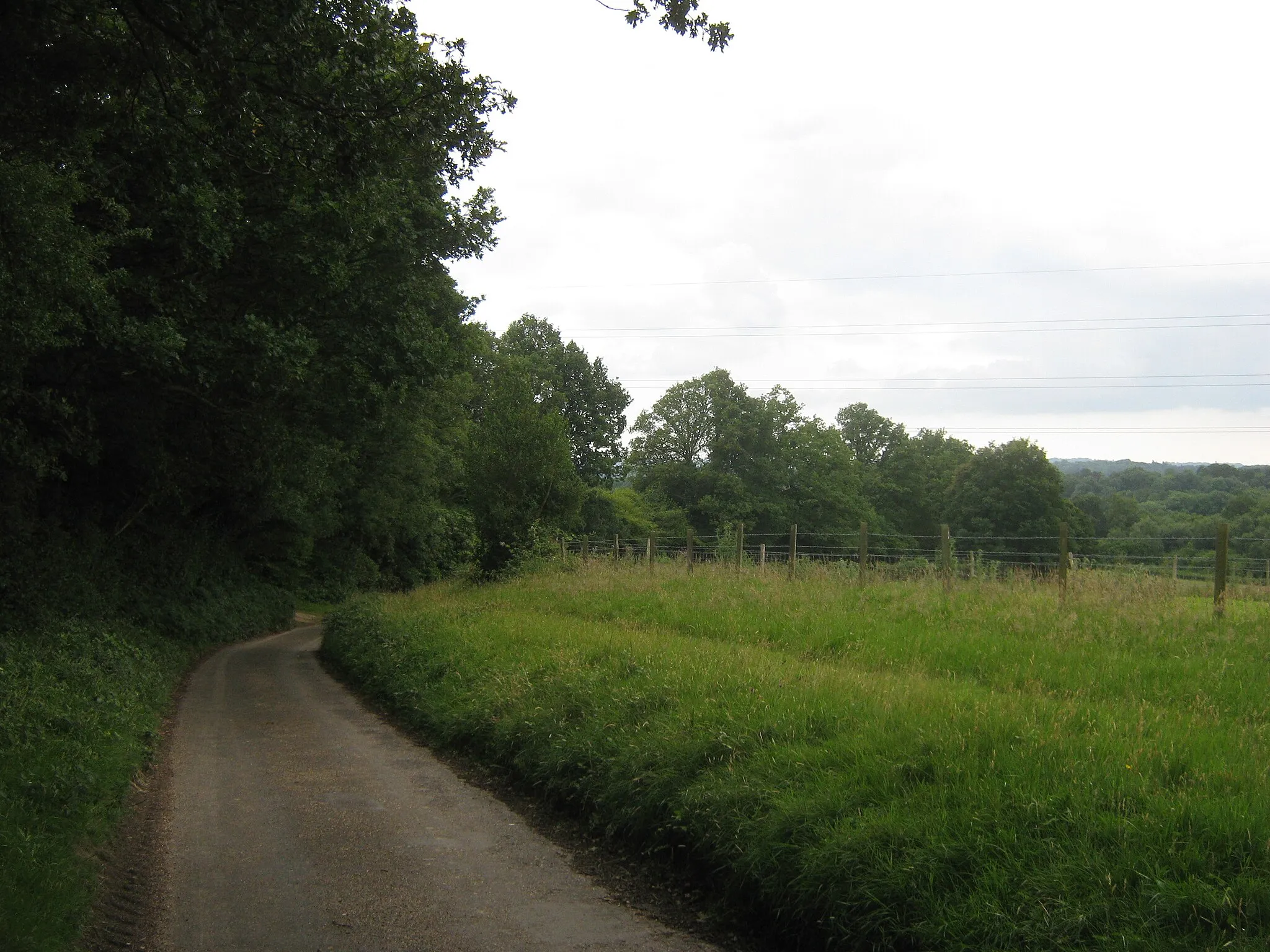 Photo showing: Access road to Old Surrey Hall