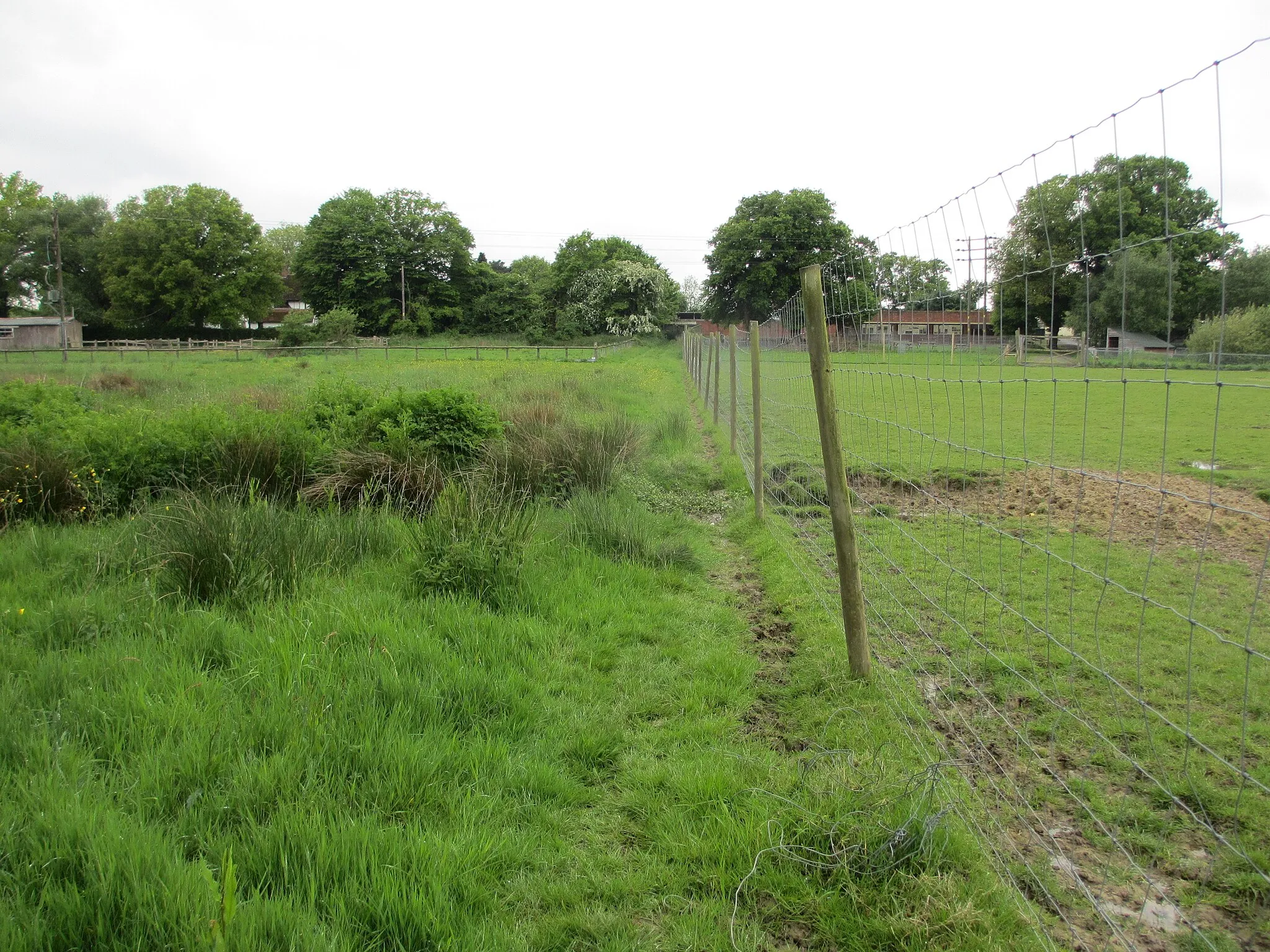 Photo showing: Footpath adjacent to British Wildlife Centre