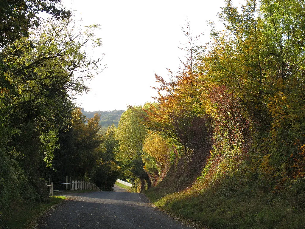 Photo showing: A country lane in Kent