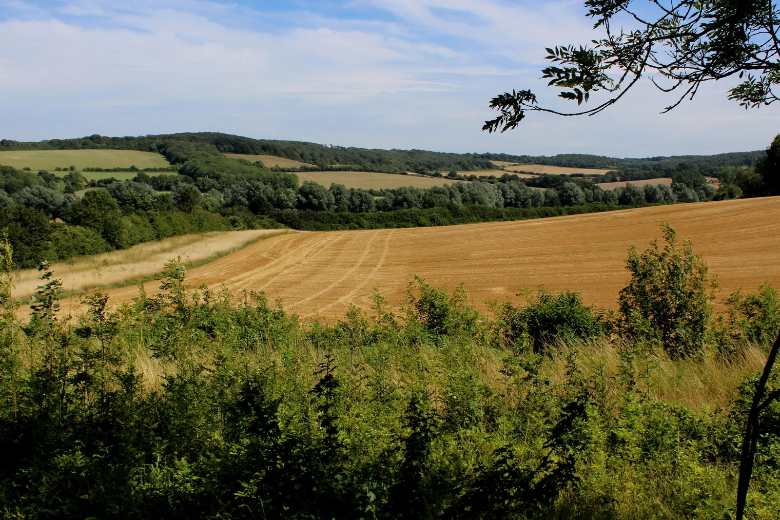 Photo showing: A View from Mountain Street