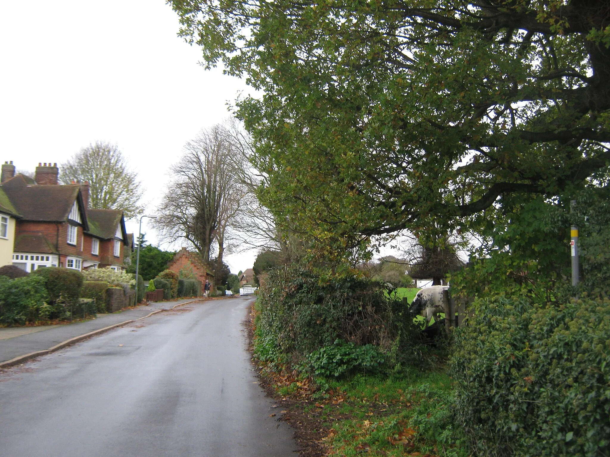 Photo showing: Grange Road