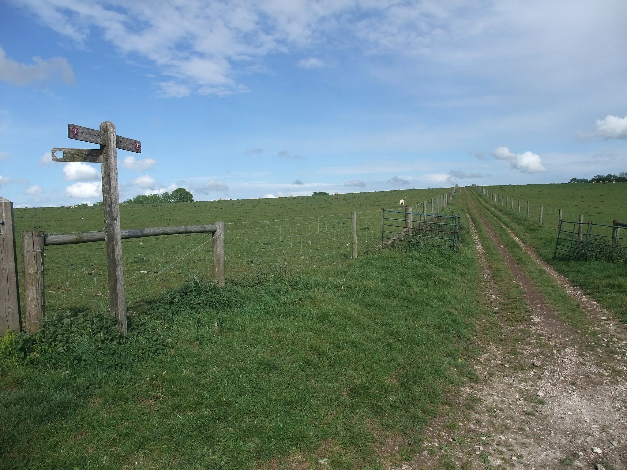 Photo showing: Bridleway junction on Didling Hill