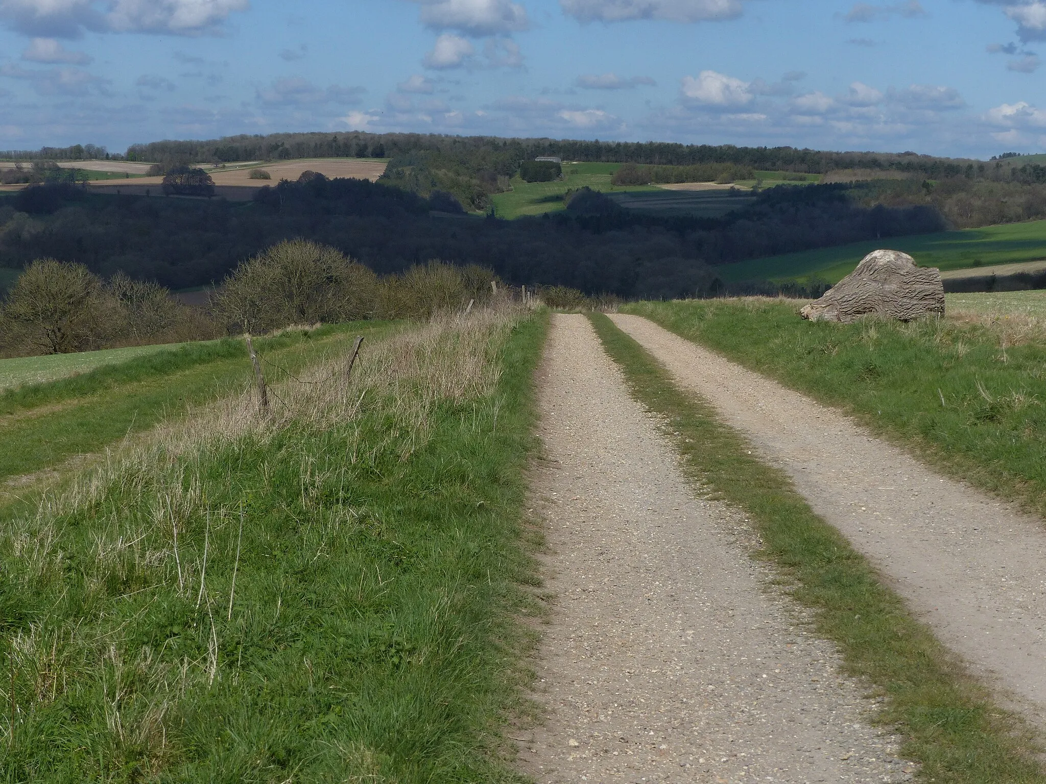 Photo showing: Bridleway on Telegraph Hill