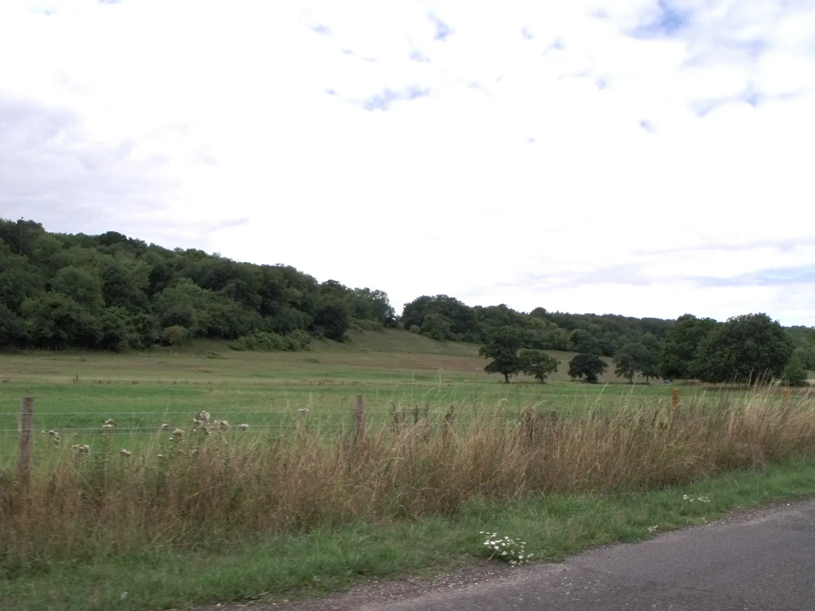 Photo showing: Fields north of Walderton, West Sussex