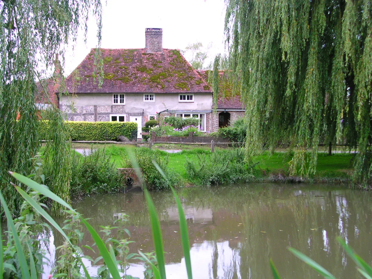 Photo showing: East Dean pond, West Sussex, England.