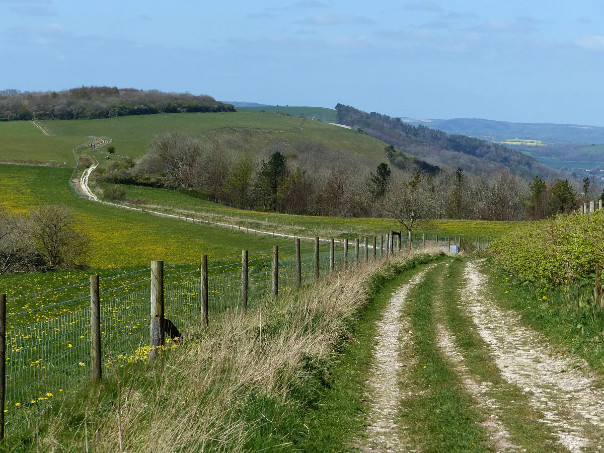 Photo showing: South Downs Way