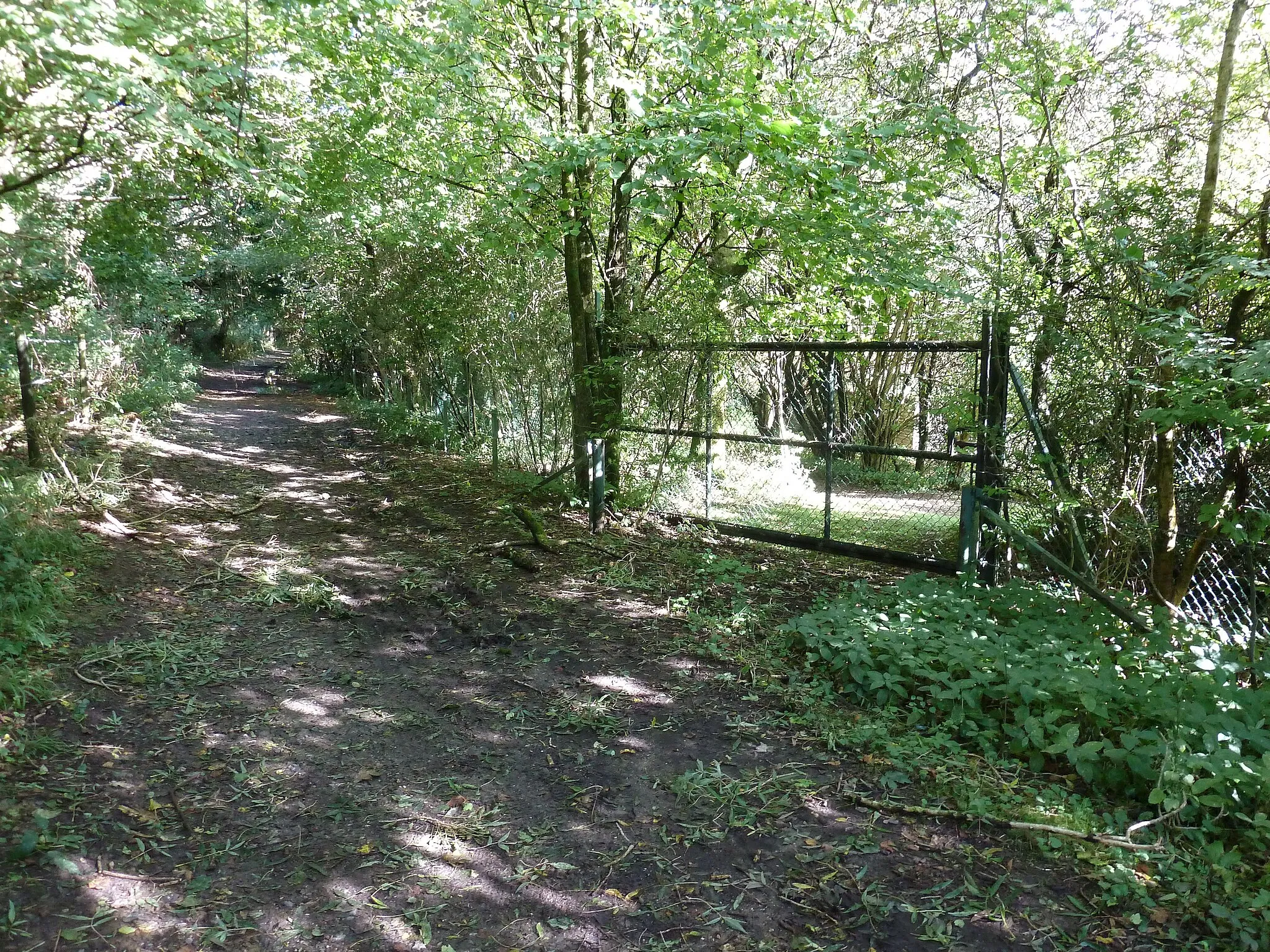 Photo showing: Security fence for the Monkton House estate