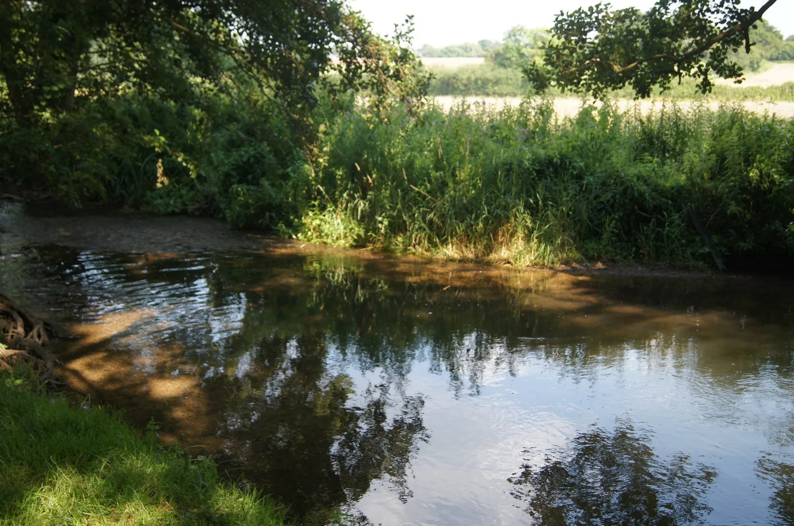 Photo showing: An inviting cool pool