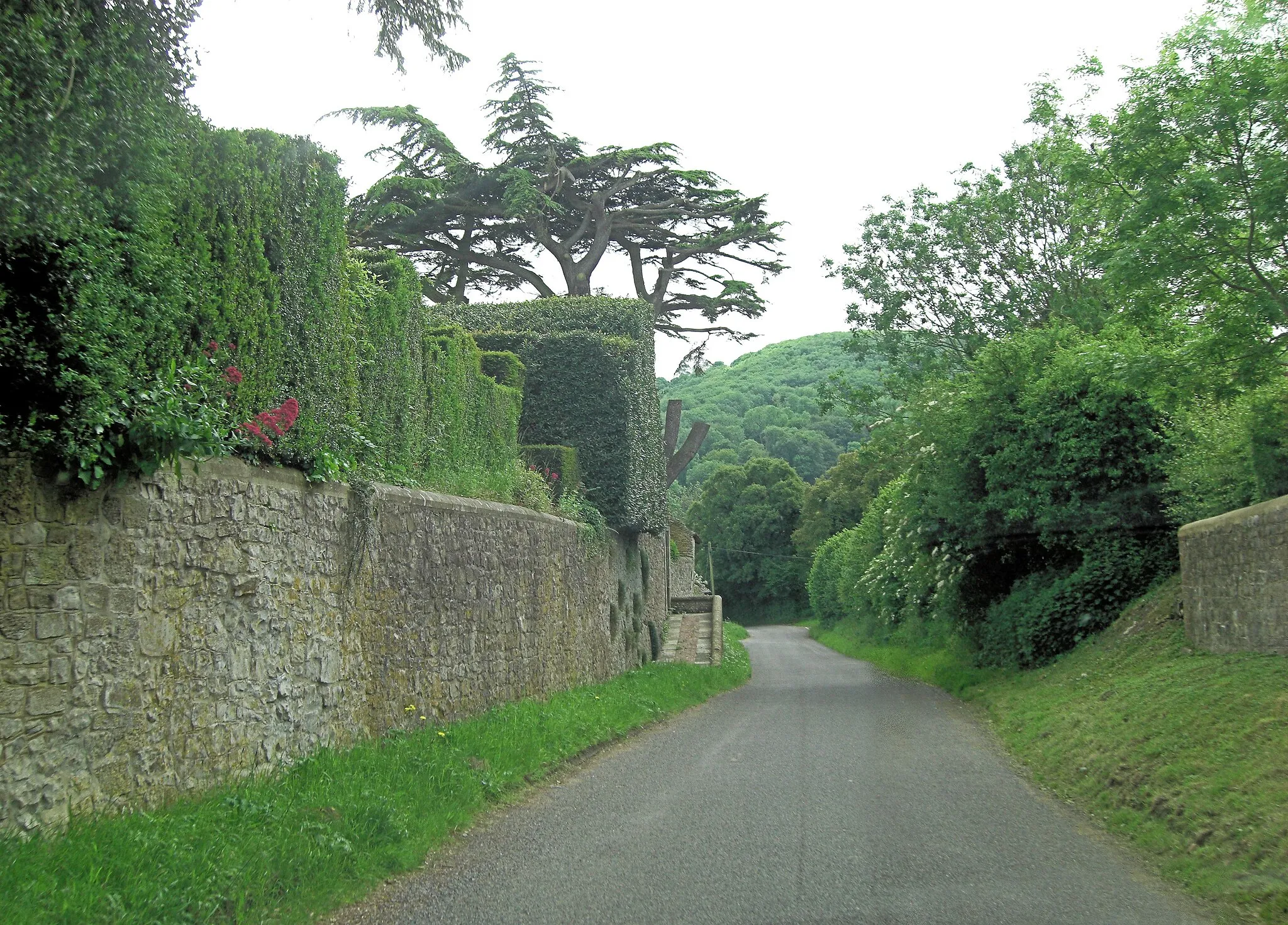 Photo showing: West Burton Lane passes Cookes House