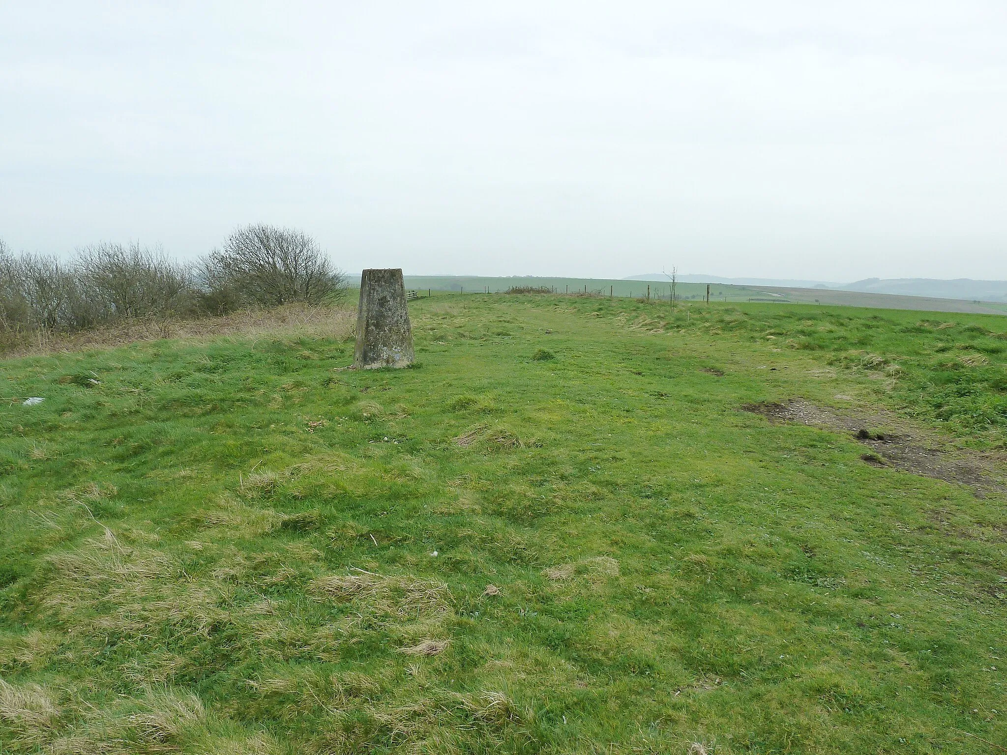 Photo showing: Trig Point on top of Kithurst Hill