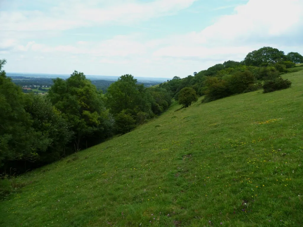 Photo showing: Access land above Chantry Lane