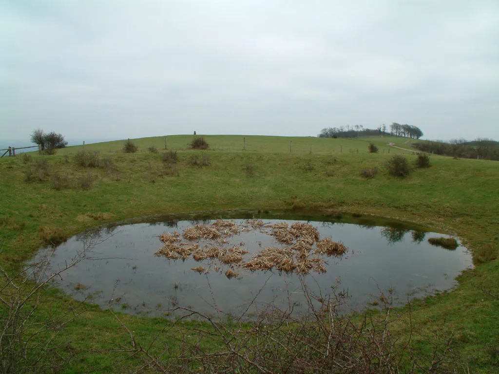 Photo showing: Dew pond at Chanctonbury Ring, with the Ring itself behind.
Photograph by Stephen Dawson, 30 January 2005